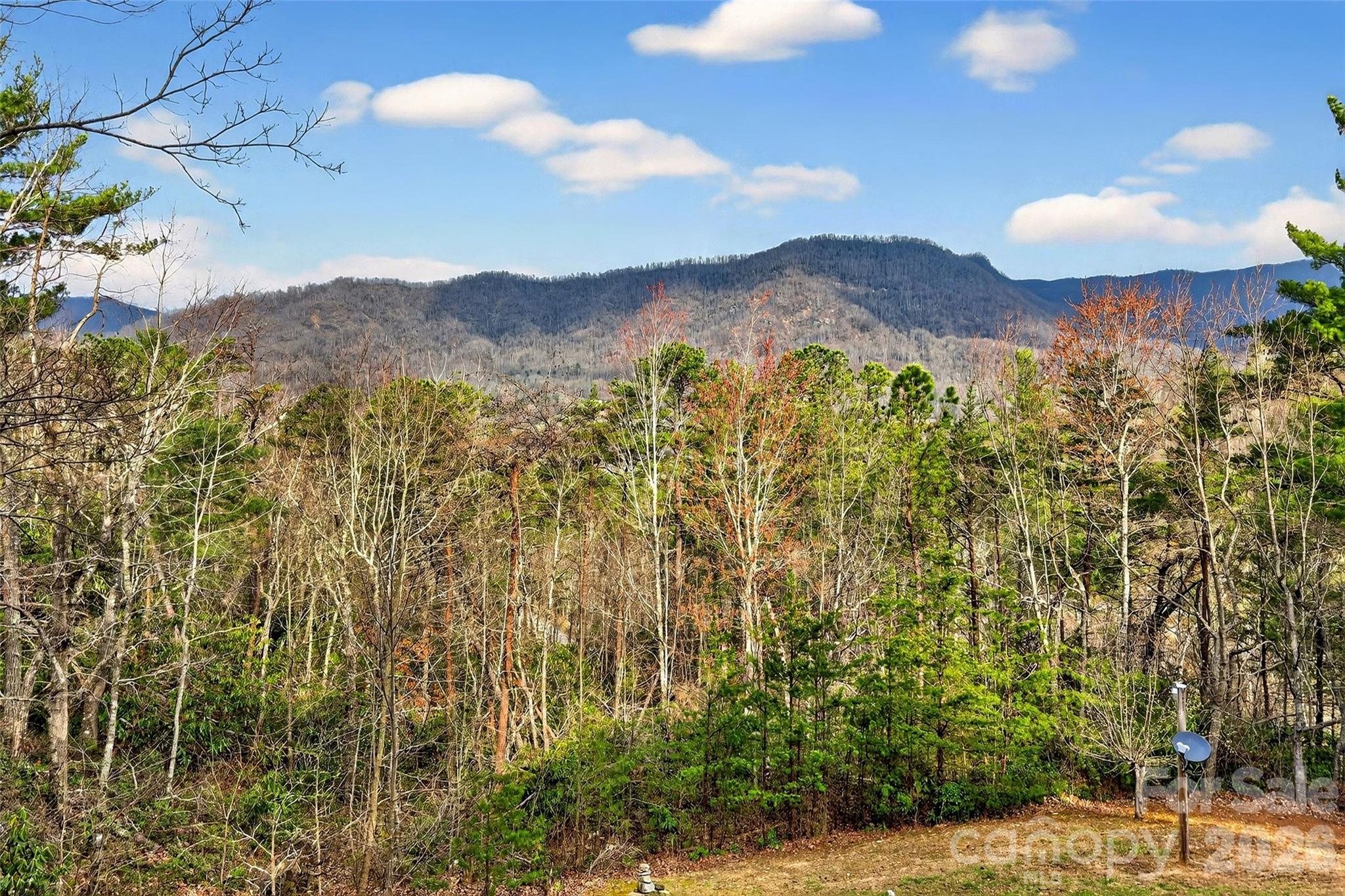 182 Baby Fox Drive Marion NC 28752
