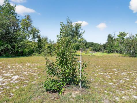 1035 Mcmillan Road Cheraw SC 29520