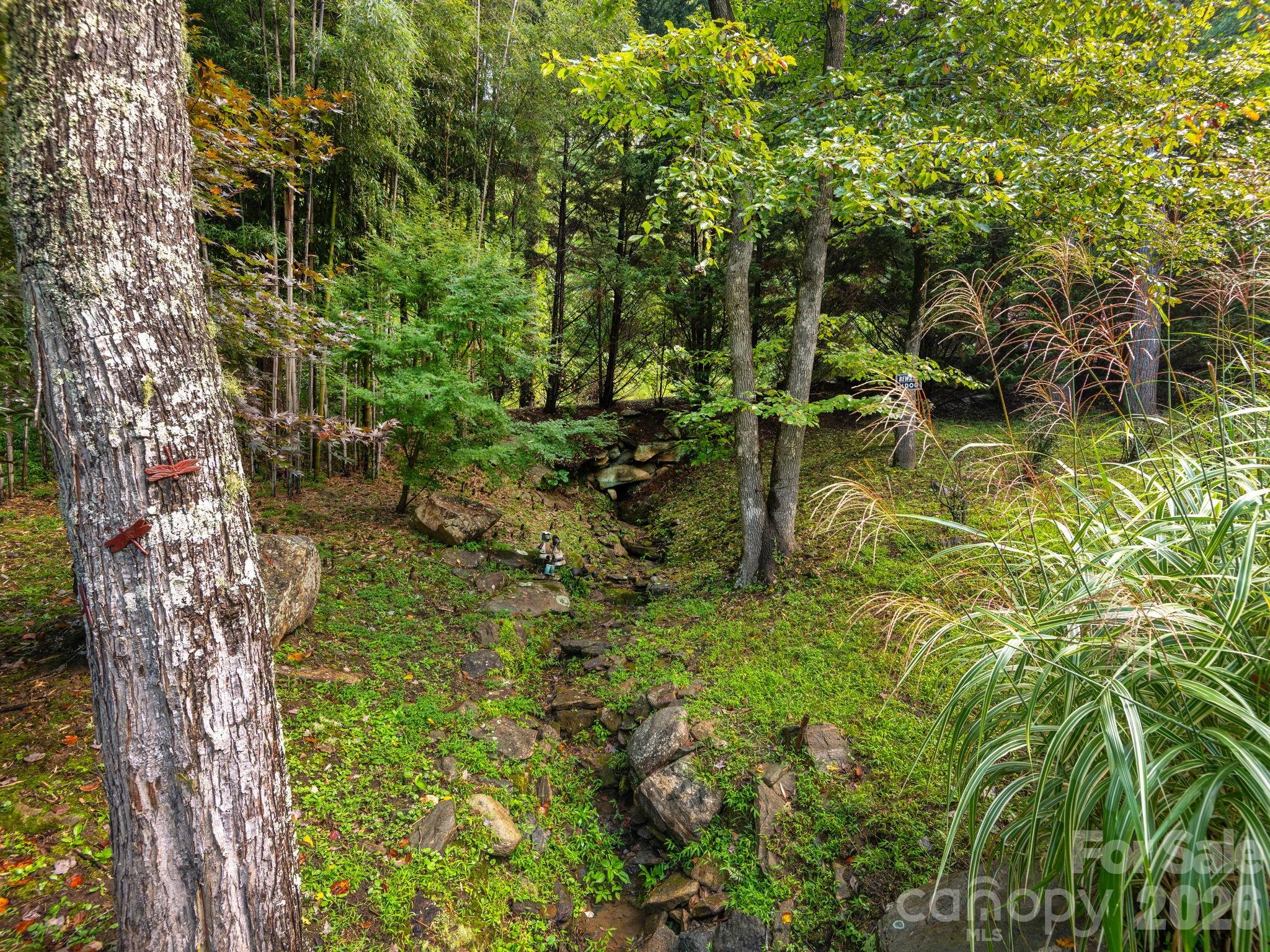 420 Chimney Rock Drive Weaverville NC 28787