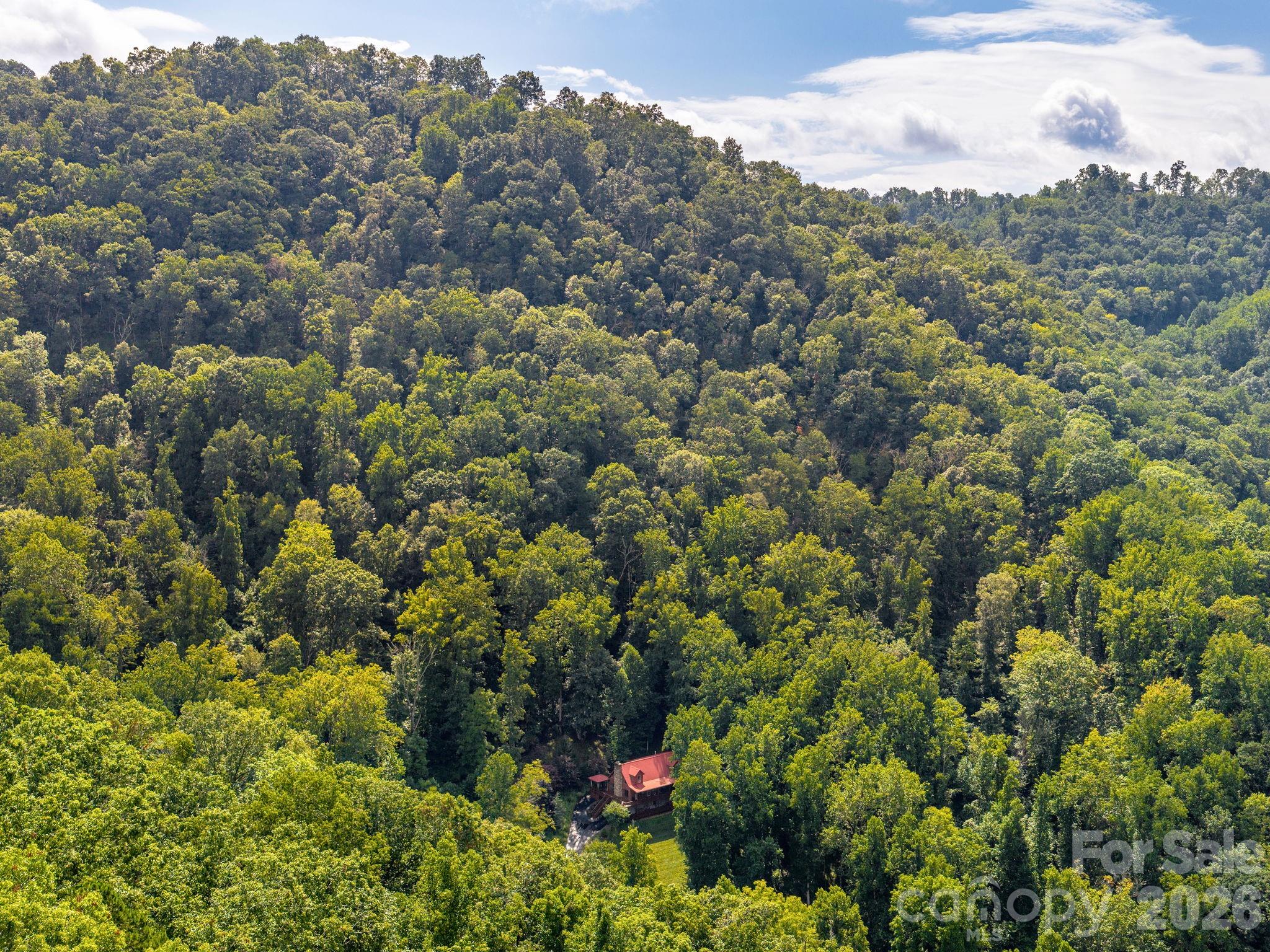 420 Chimney Rock Drive Weaverville NC 28787