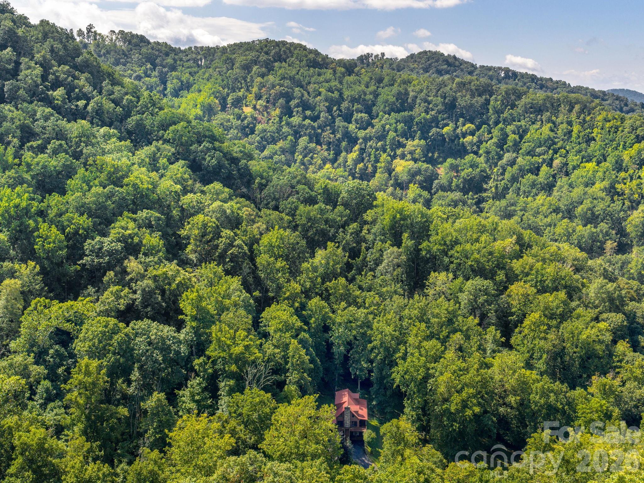 420 Chimney Rock Drive Weaverville NC 28787