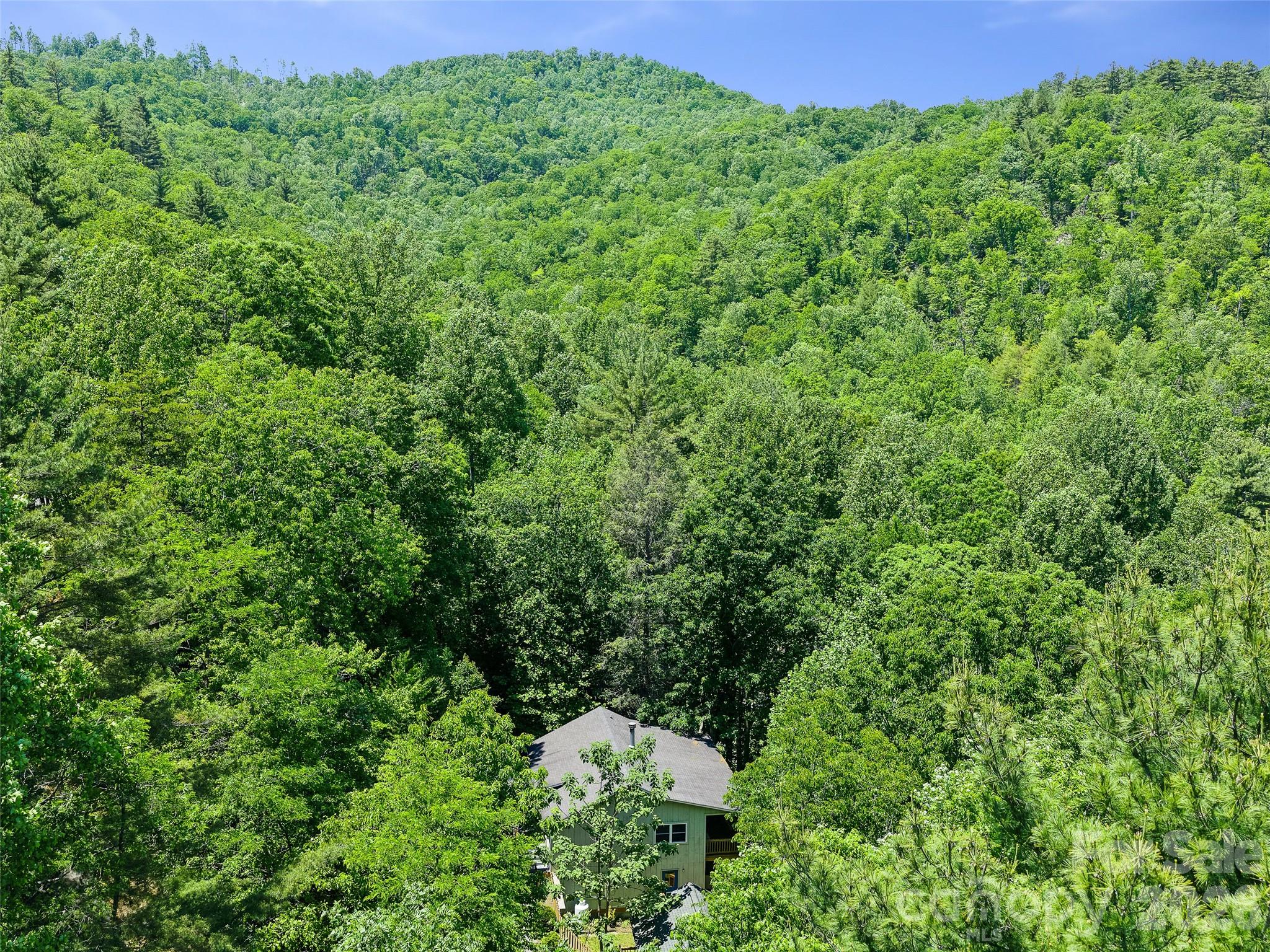 142 Wildflower Road Spruce Pine NC 28777