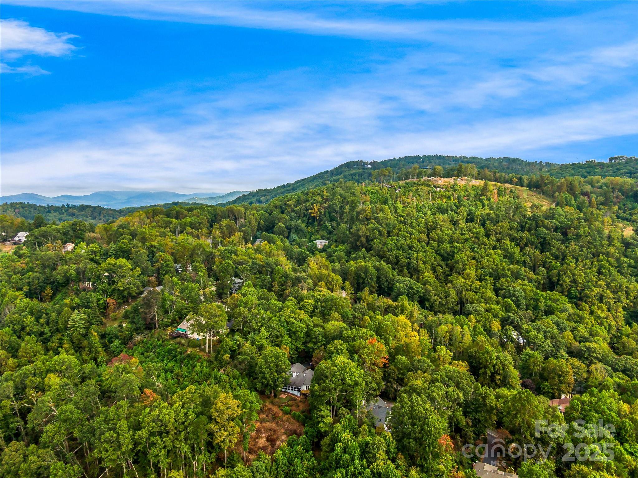 811 Sunlight Ridge Hendersonville NC 29792