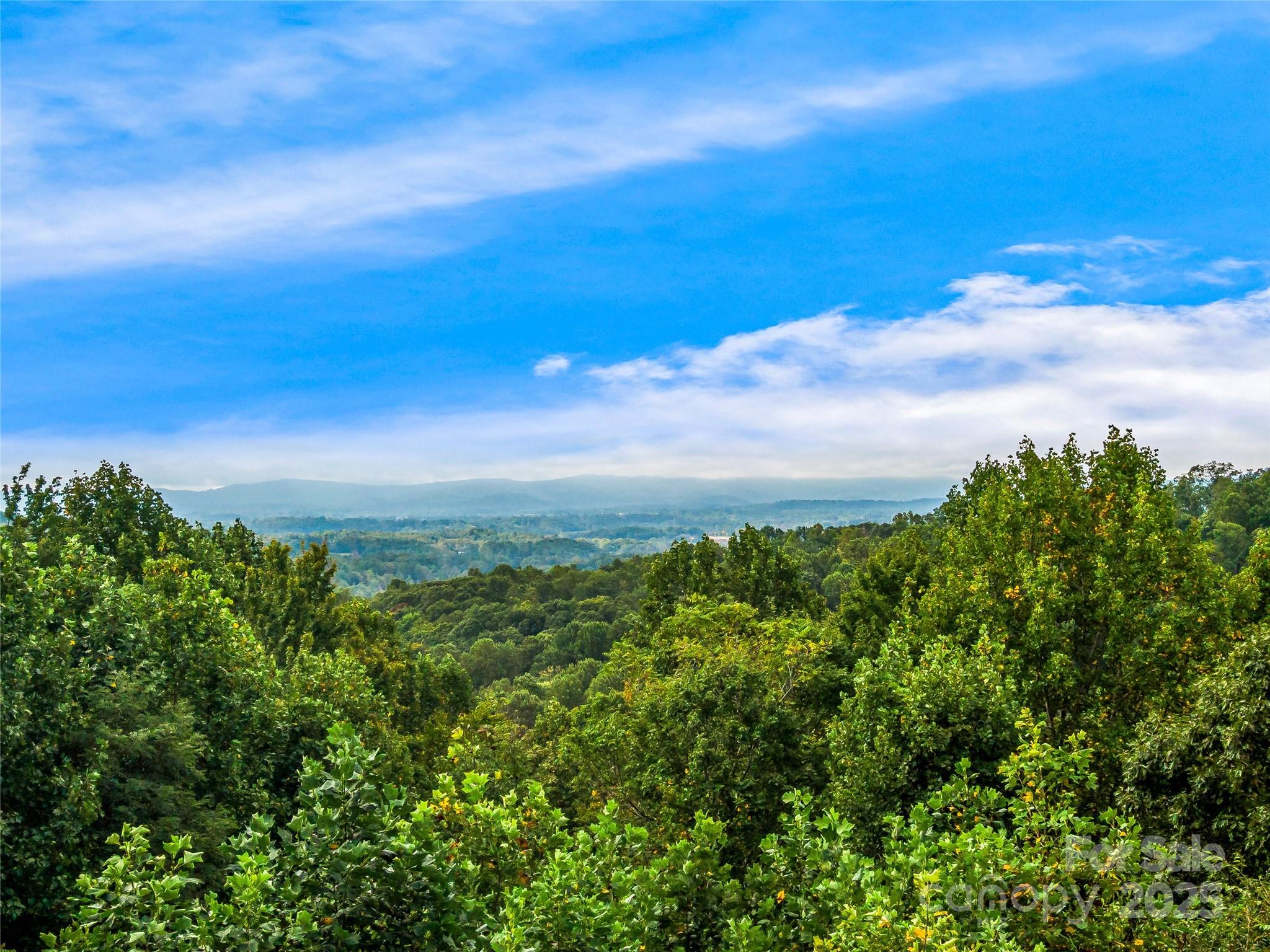 811 Sunlight Ridge Hendersonville NC 29792