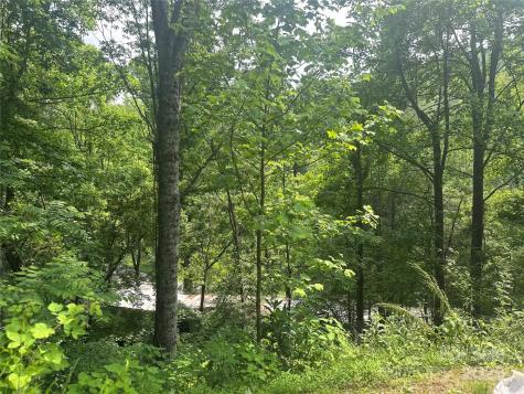 193 Green Cove Road Bakersville NC 28705