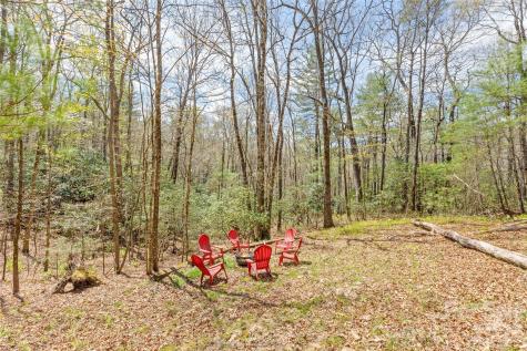 46 Poplar Court Sapphire NC 28774