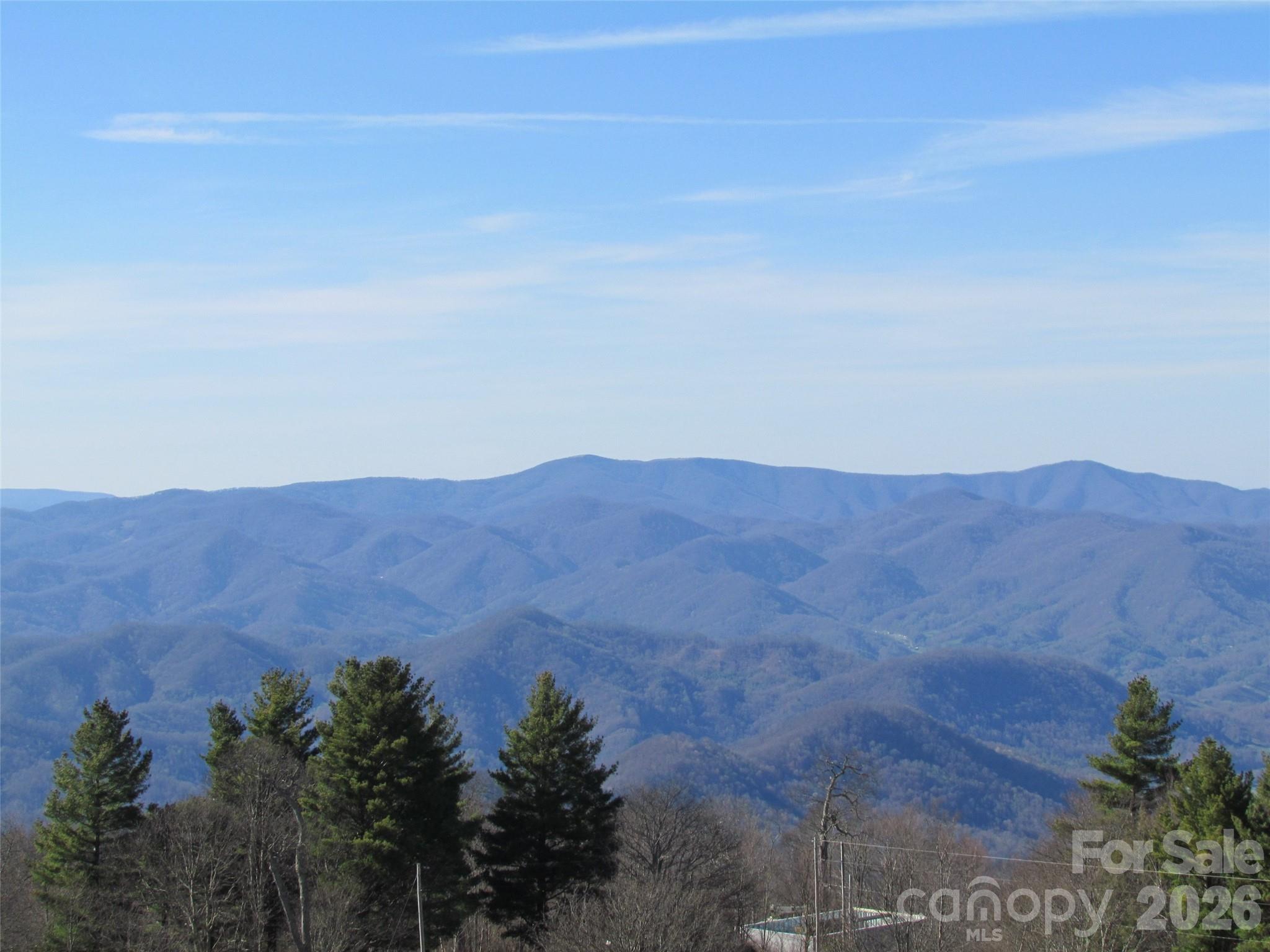 143 Daniel Boone Trail Burnsville NC 28714