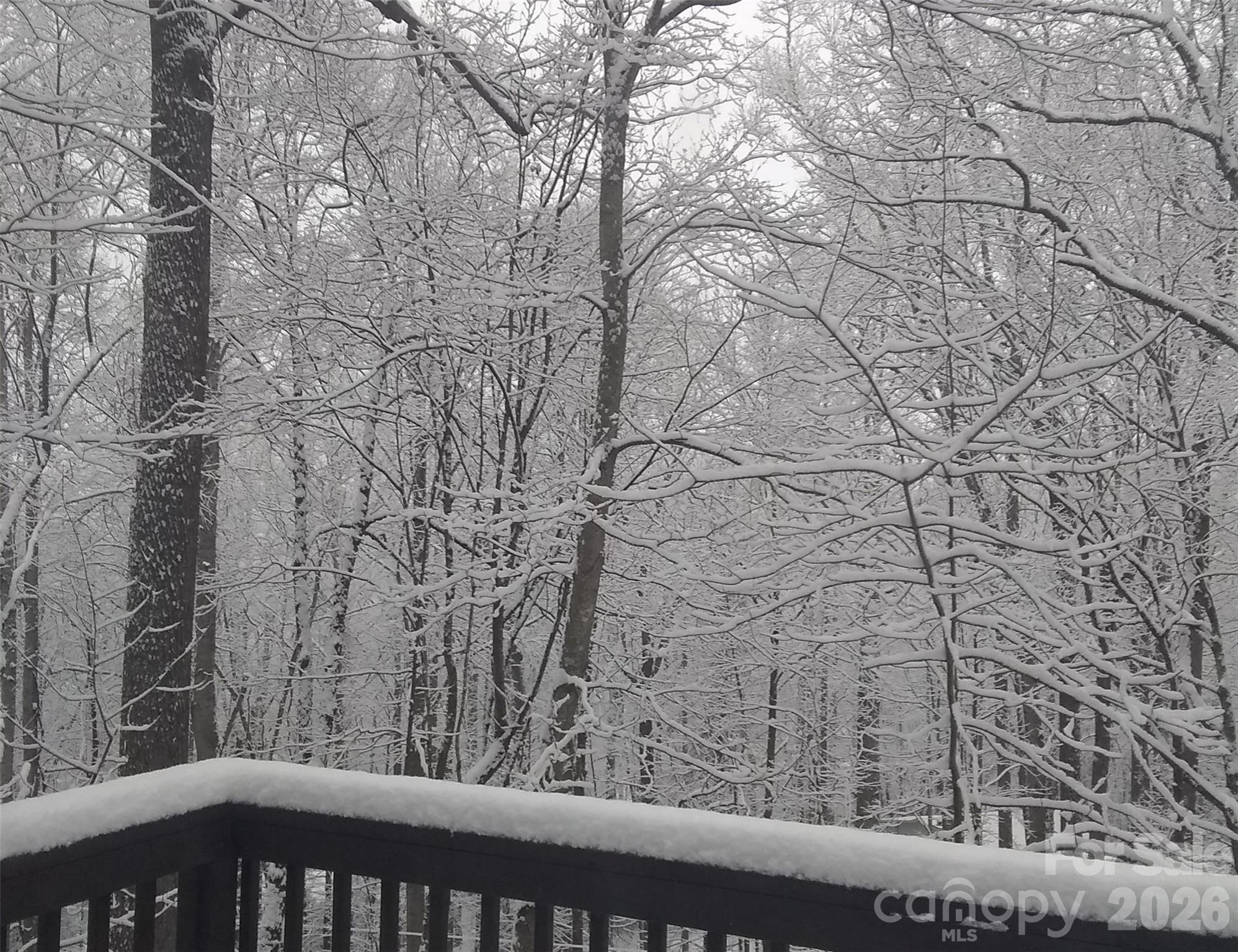 662 Locust Drive Maggie Valley NC 28751