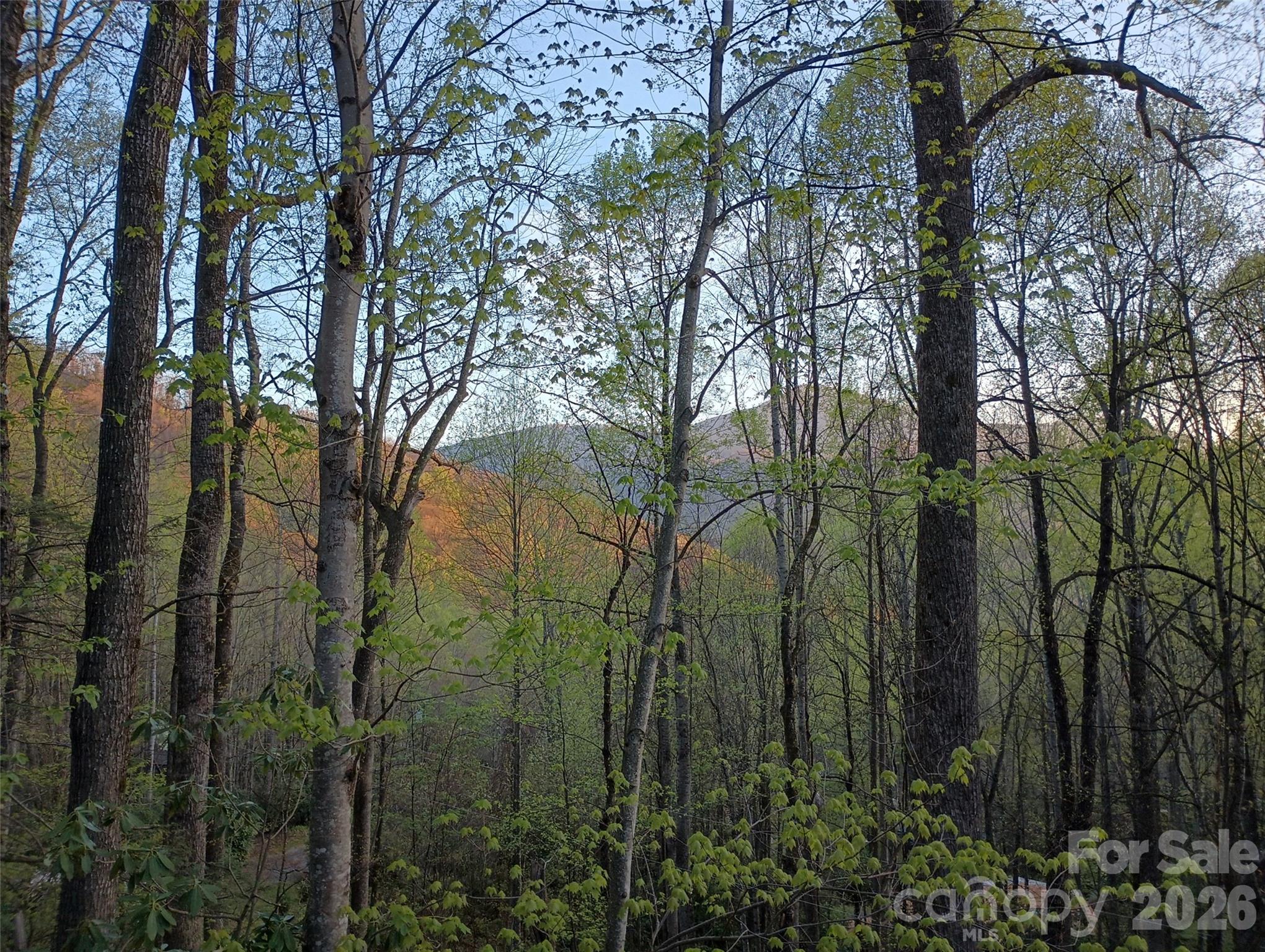 662 Locust Drive Maggie Valley NC 28751