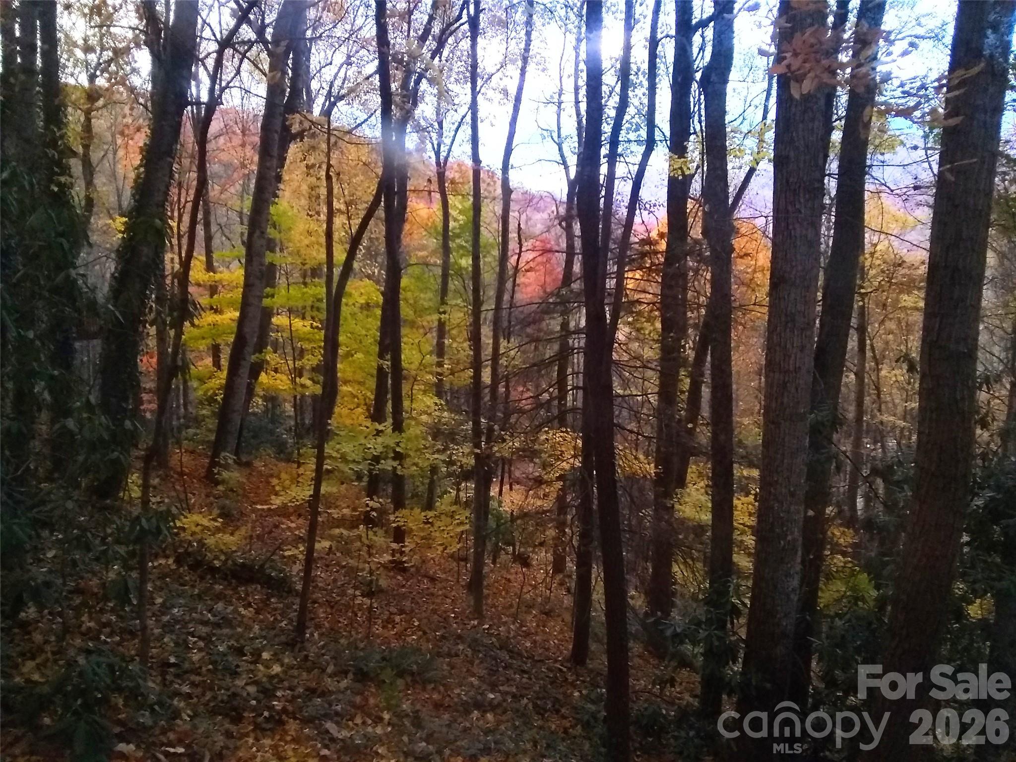 662 Locust Drive Maggie Valley NC 28751