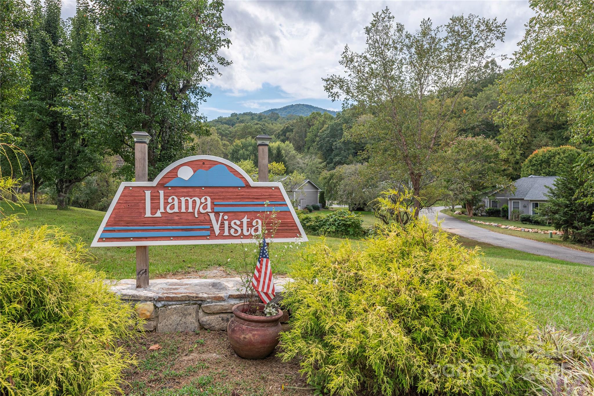 14 Llama Vista Court Black Mountain NC 28711