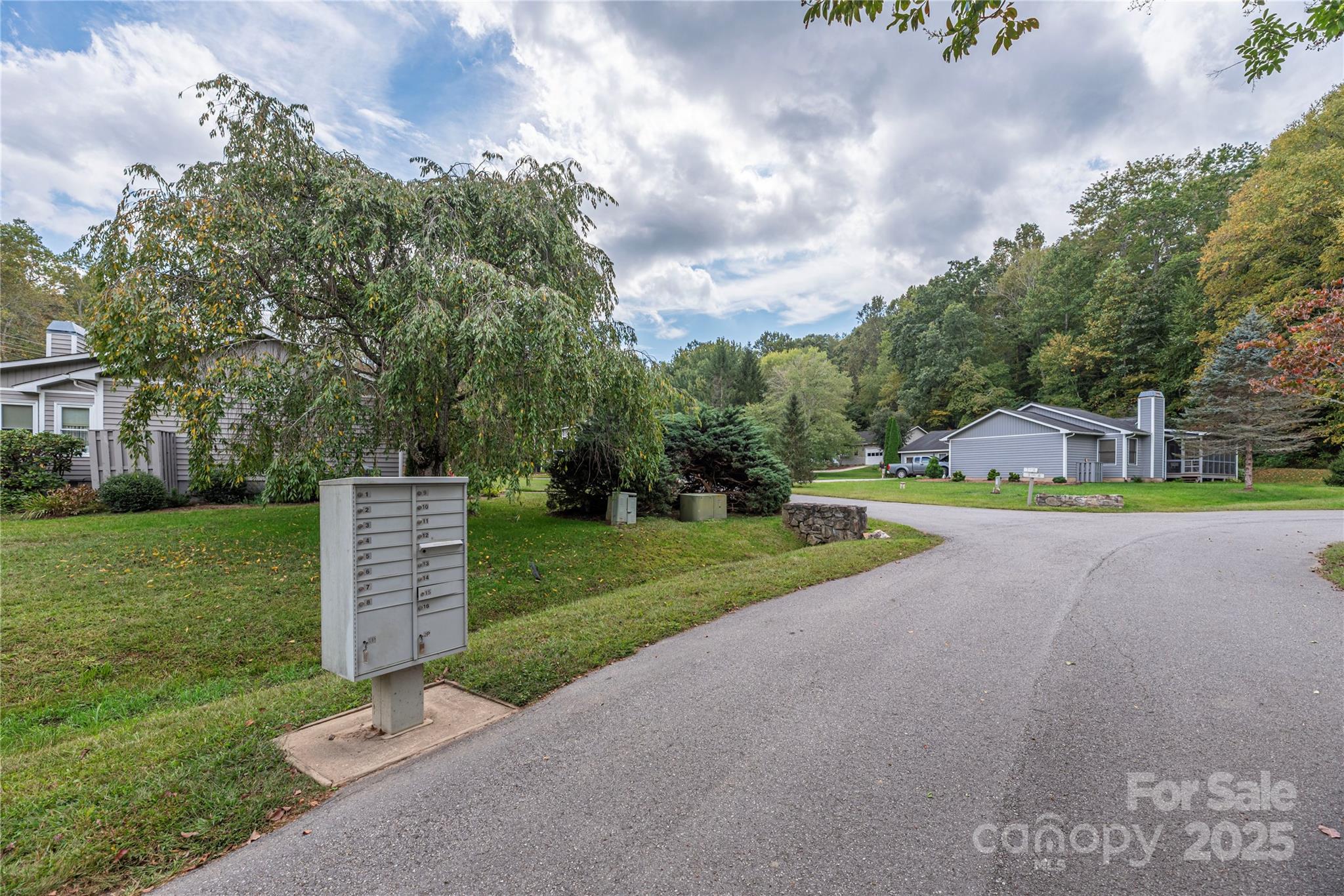 14 Llama Vista Court Black Mountain NC 28711