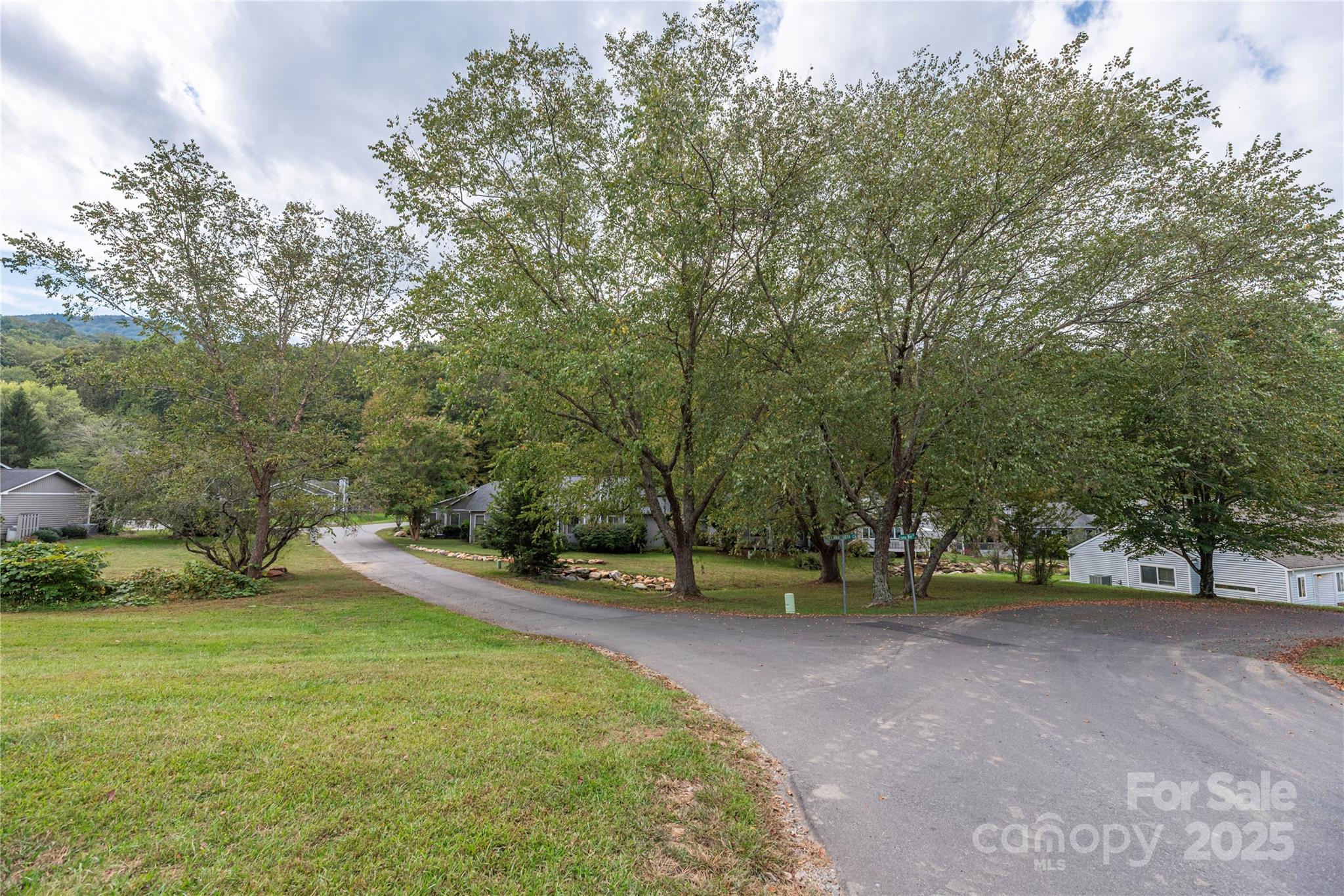 14 Llama Vista Court Black Mountain NC 28711