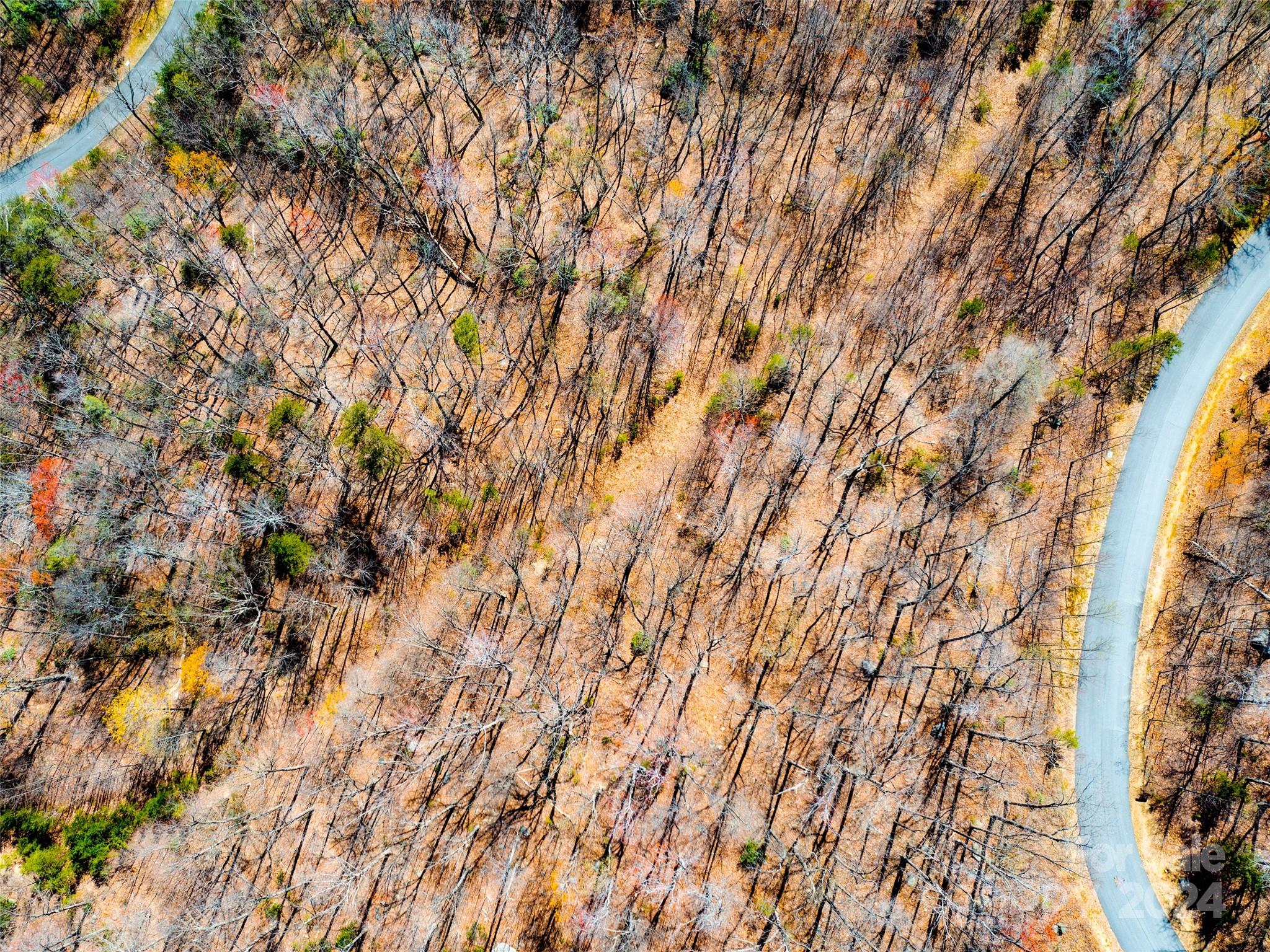 2101 Harm Creek Loop Mill Spring NC 28756
