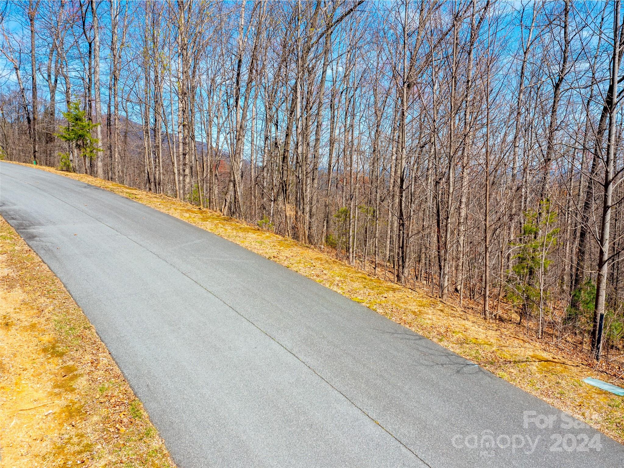 2101 Harm Creek Loop Mill Spring NC 28756