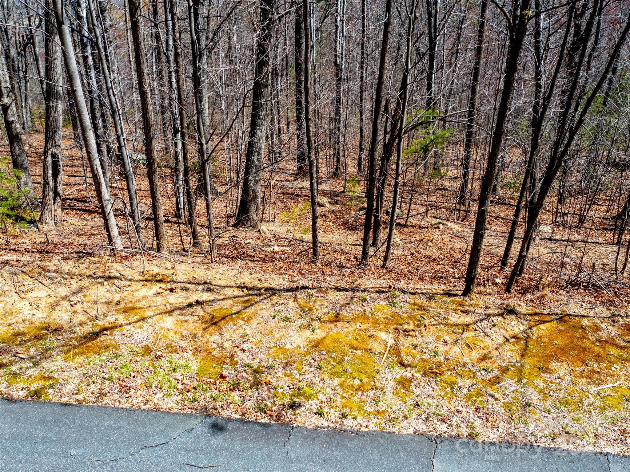 2101 Harm Creek Loop Mill Spring NC 28756