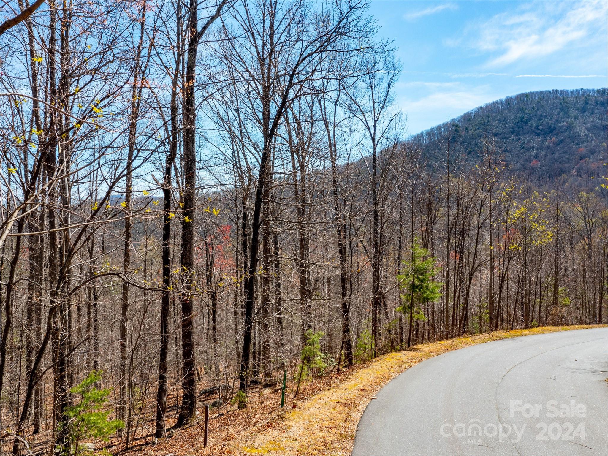 2101 Harm Creek Loop Mill Spring NC 28756