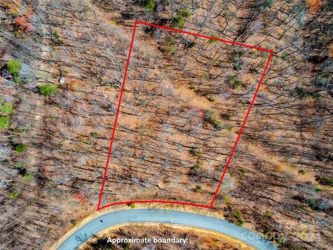 2101 Harm Creek Loop Mill Spring NC 28756