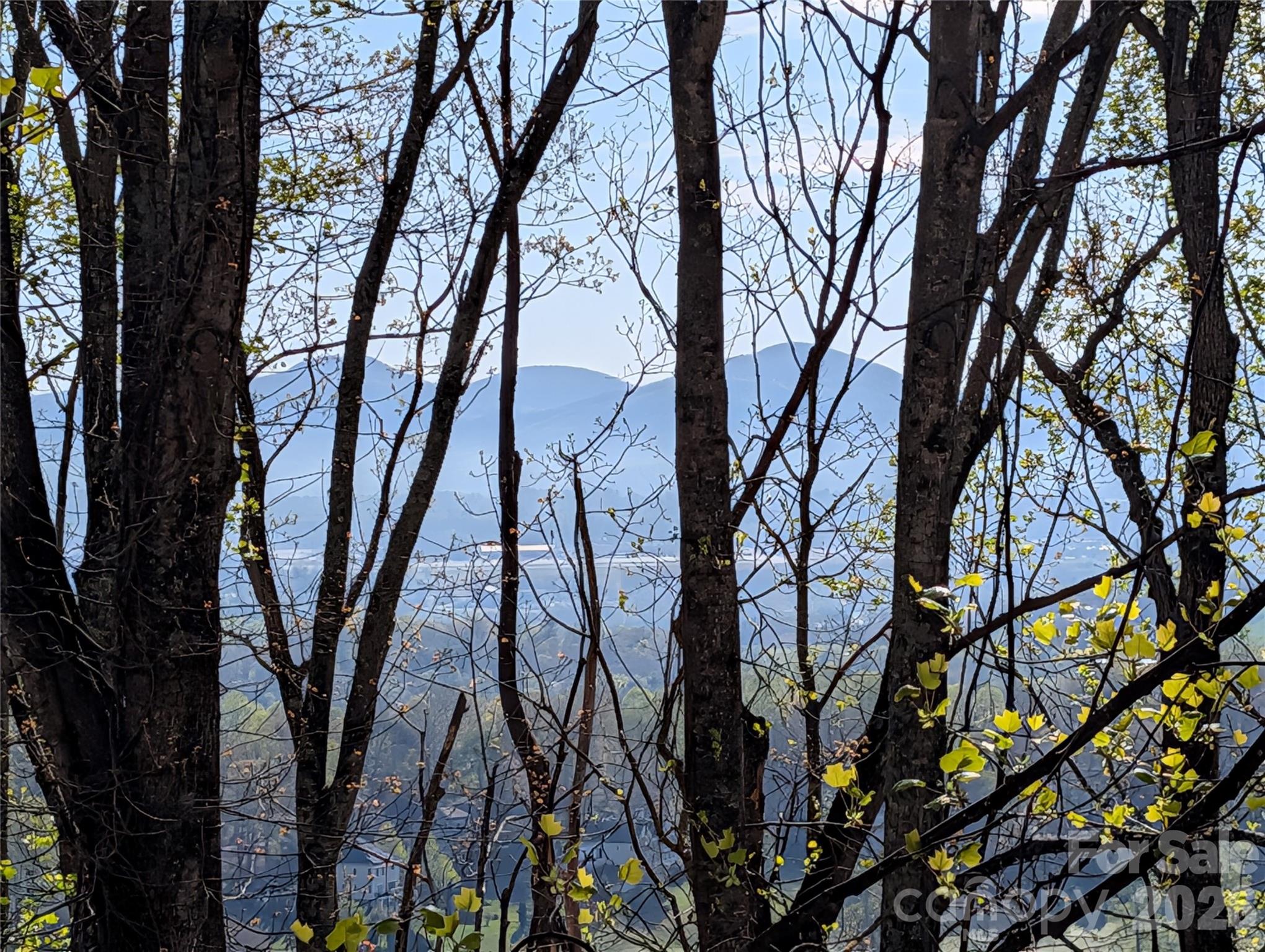 4 Wild Dogwood Trail Mills River NC 28759