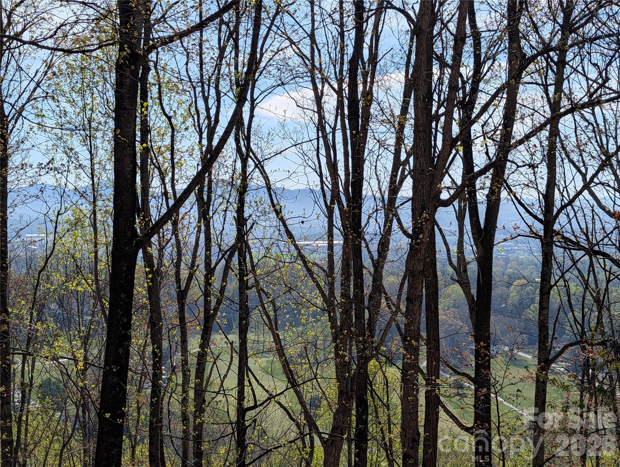 4 Wild Dogwood Trail Mills River NC 28759