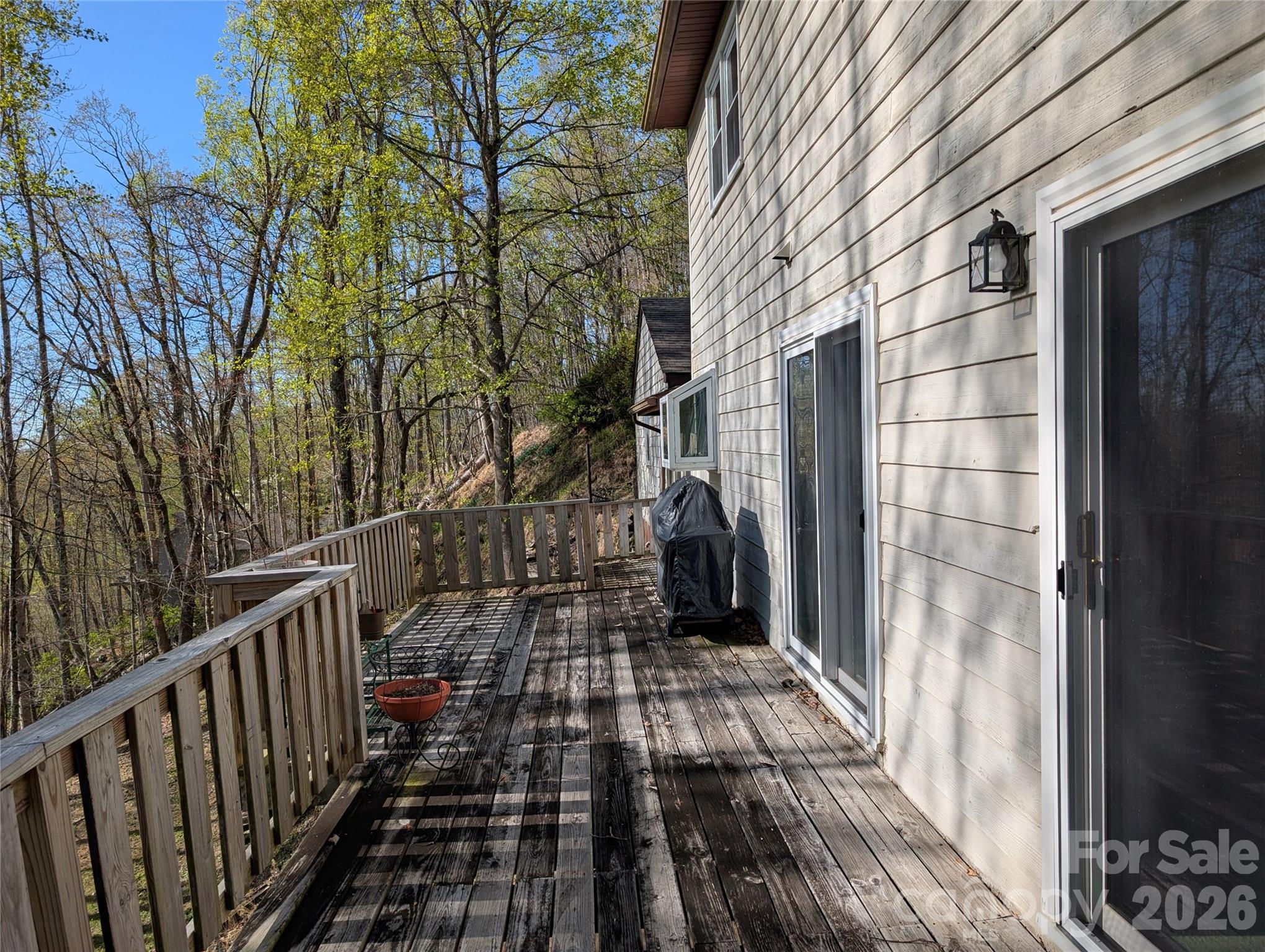 4 Wild Dogwood Trail Mills River NC 28759