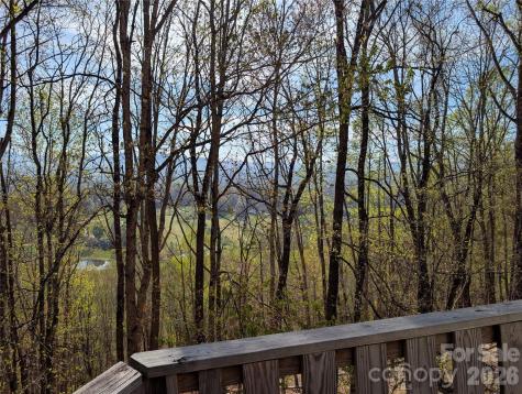 4 Wild Dogwood Trail Mills River NC 28759