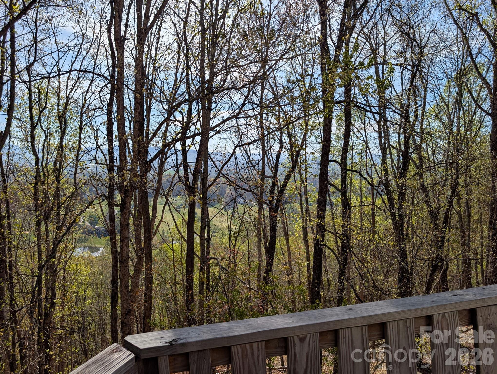 4 Wild Dogwood Trail Mills River NC 28759