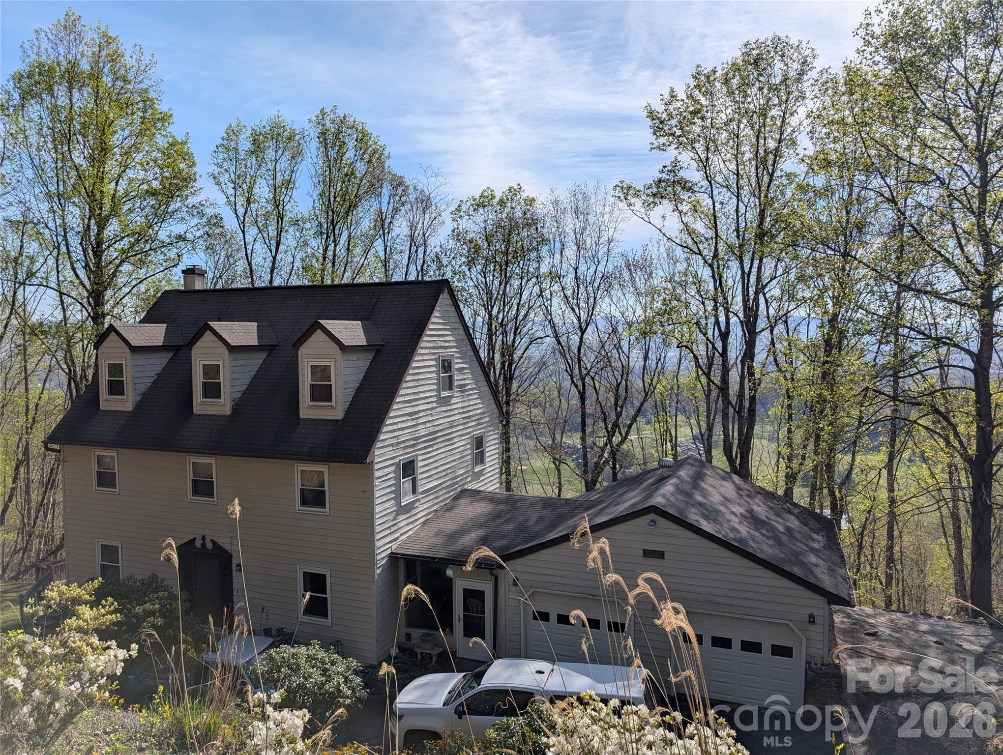4 Wild Dogwood Trail Mills River NC 28759