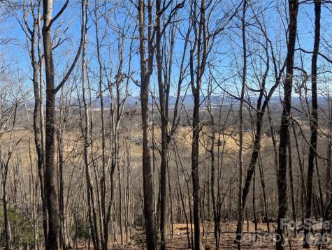 4 Wild Dogwood Trail Mills River NC 28759