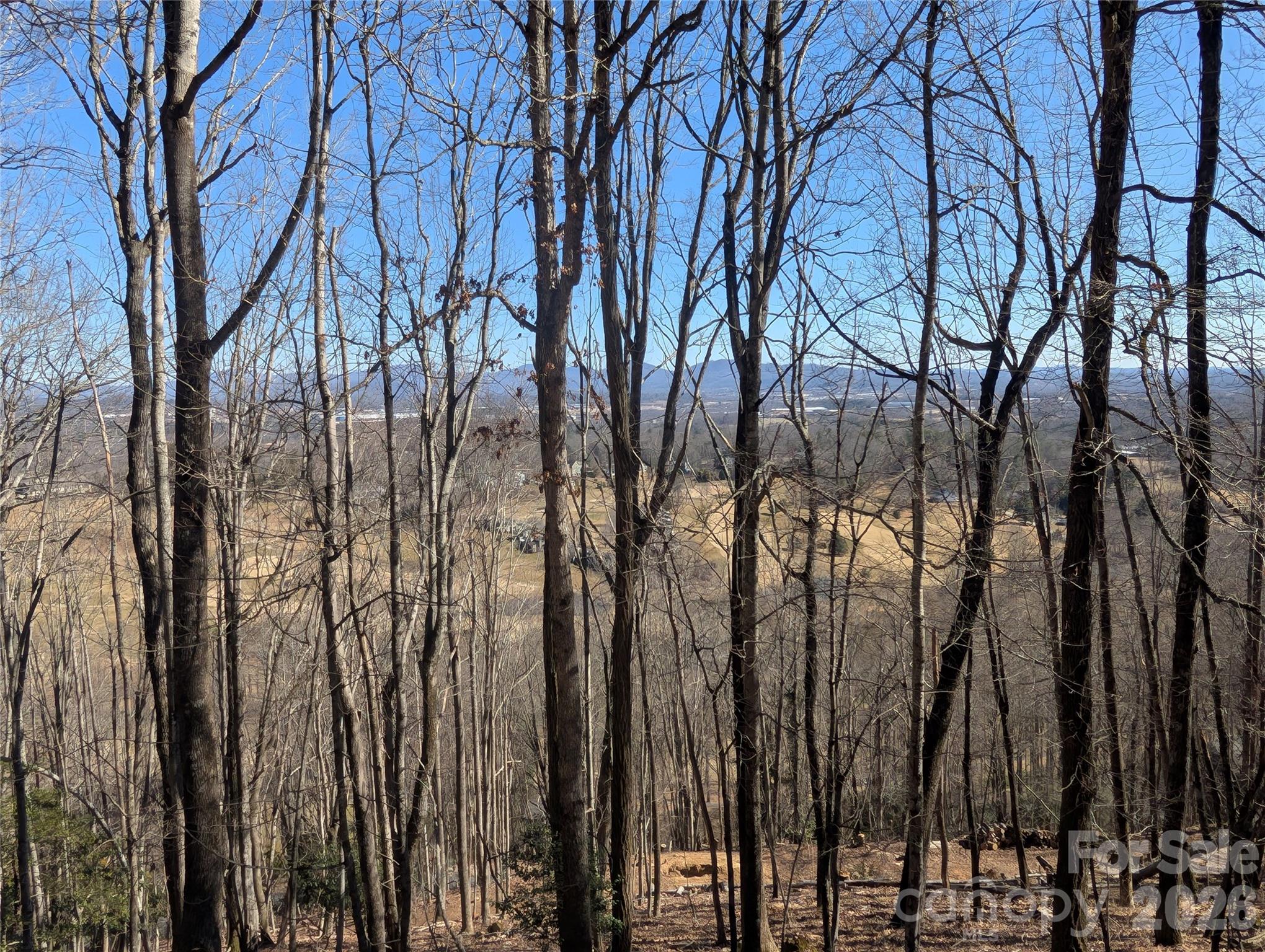 4 Wild Dogwood Trail Mills River NC 28759