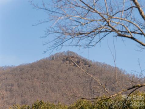 2 Bent Tree Drive Asheville NC 28803