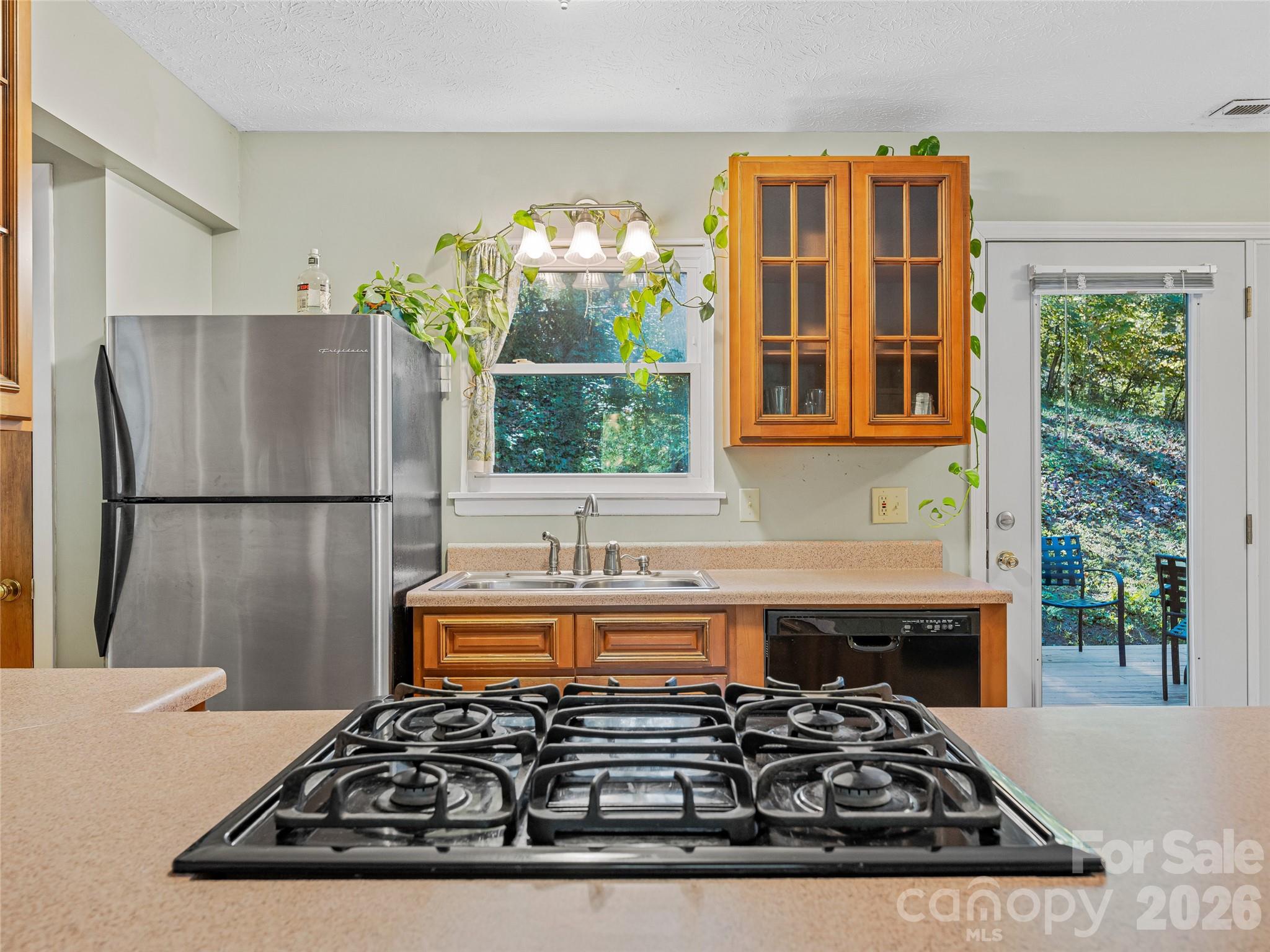 5 West Cove Street Weaverville NC 28787