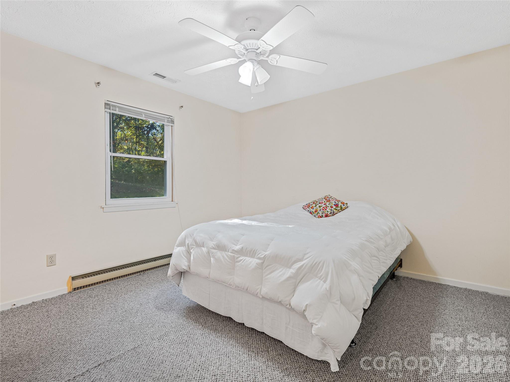 5 West Cove Street Weaverville NC 28787