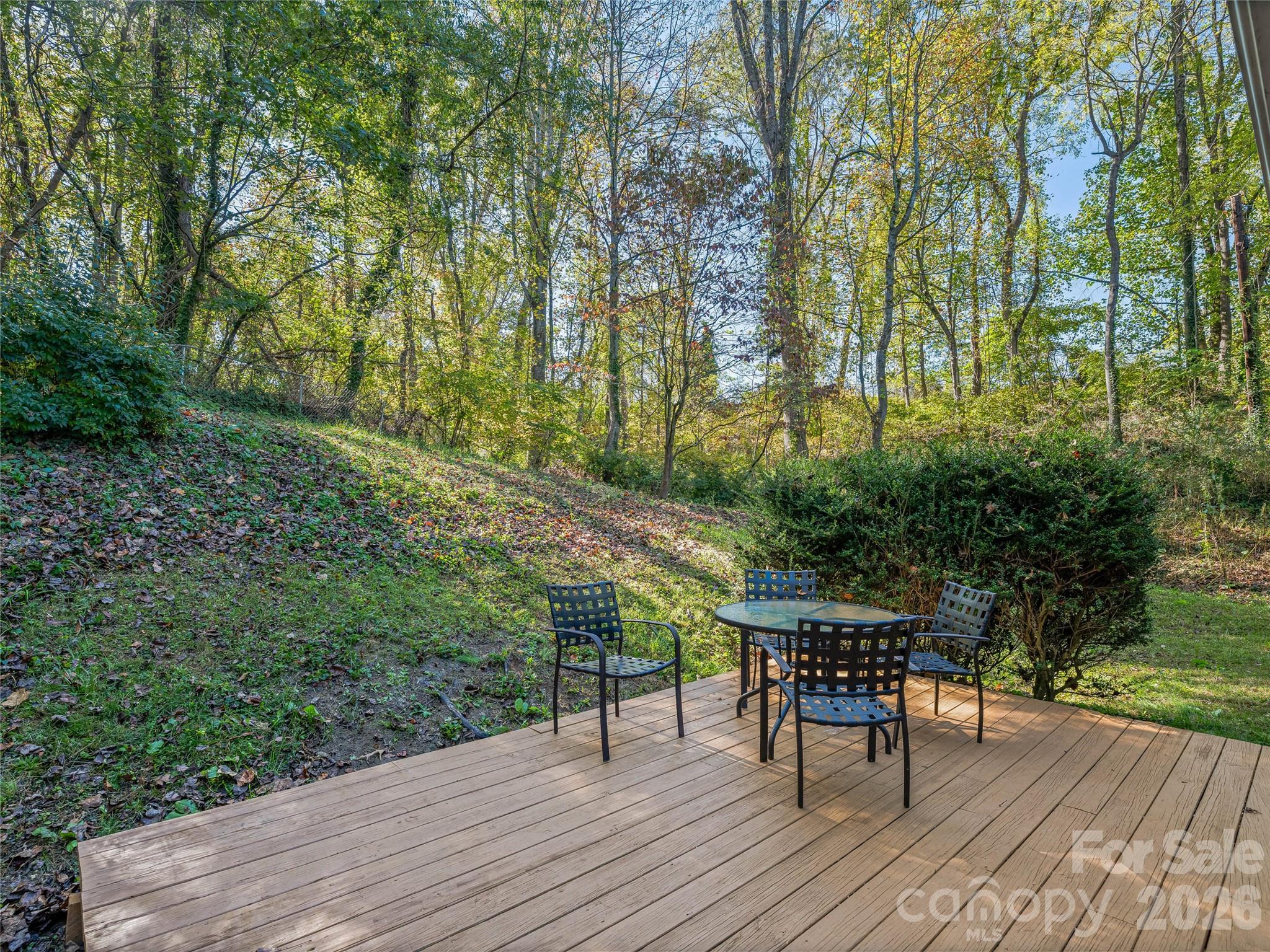 5 West Cove Street Weaverville NC 28787