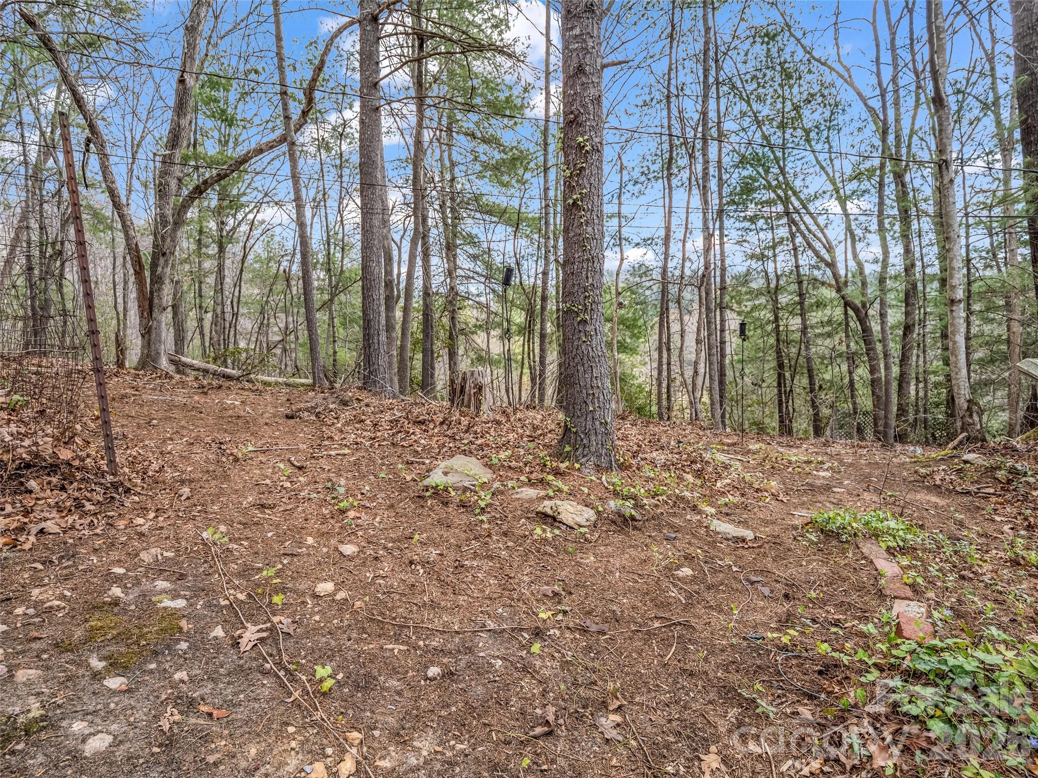1 Alpine Way Swannanoa NC 28778