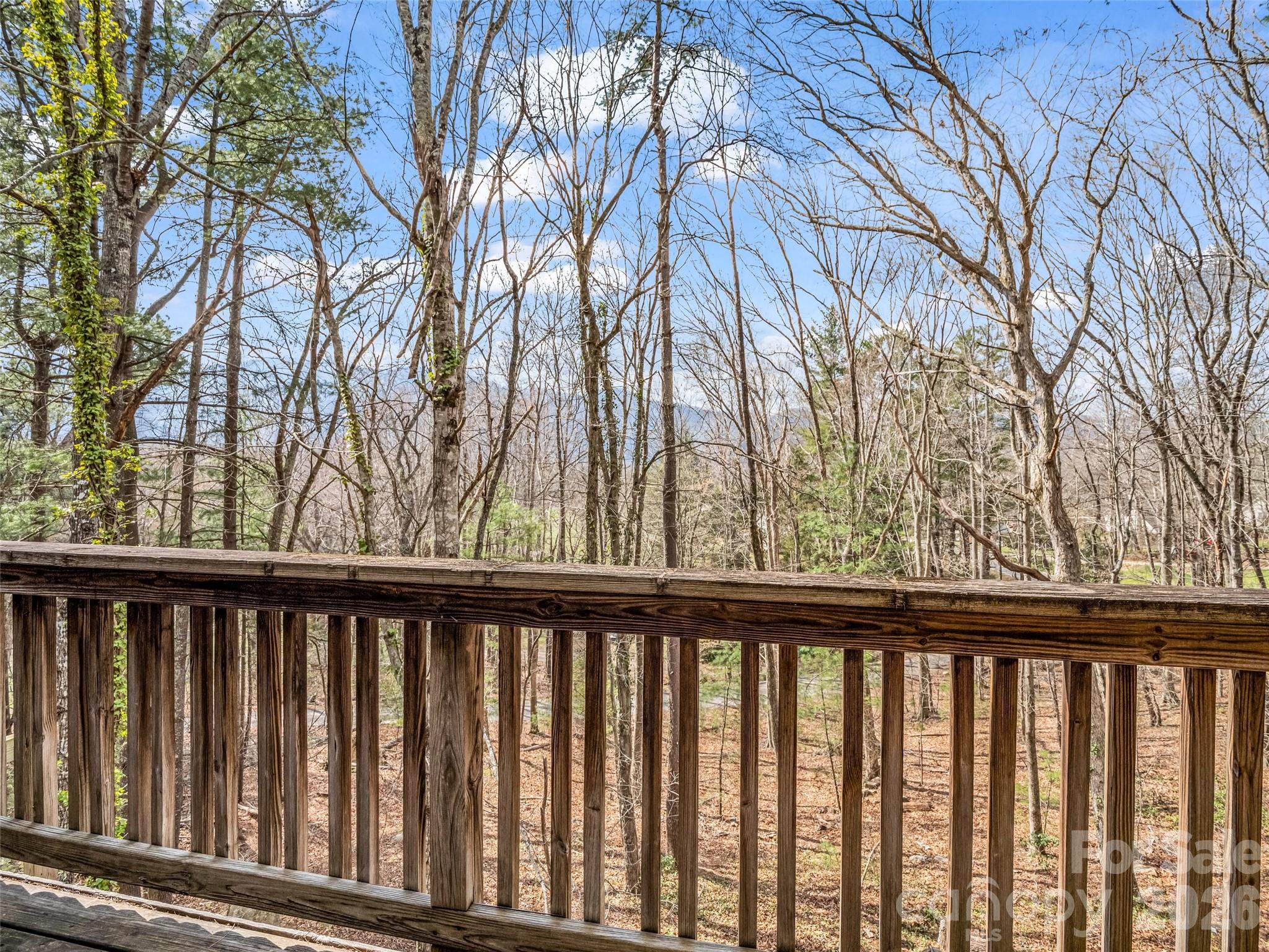 1 Alpine Way Swannanoa NC 28778