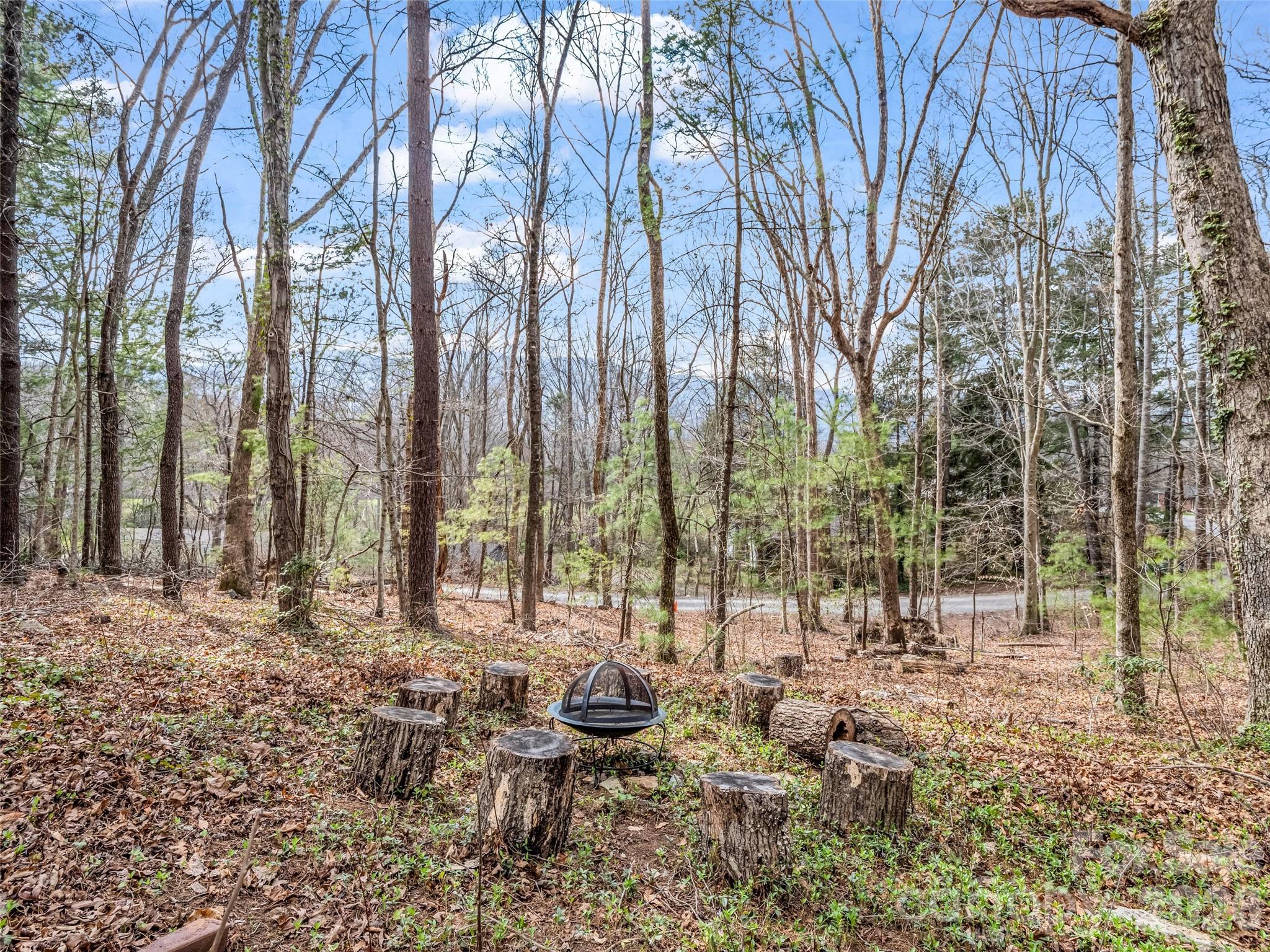 1 Alpine Way Swannanoa NC 28778