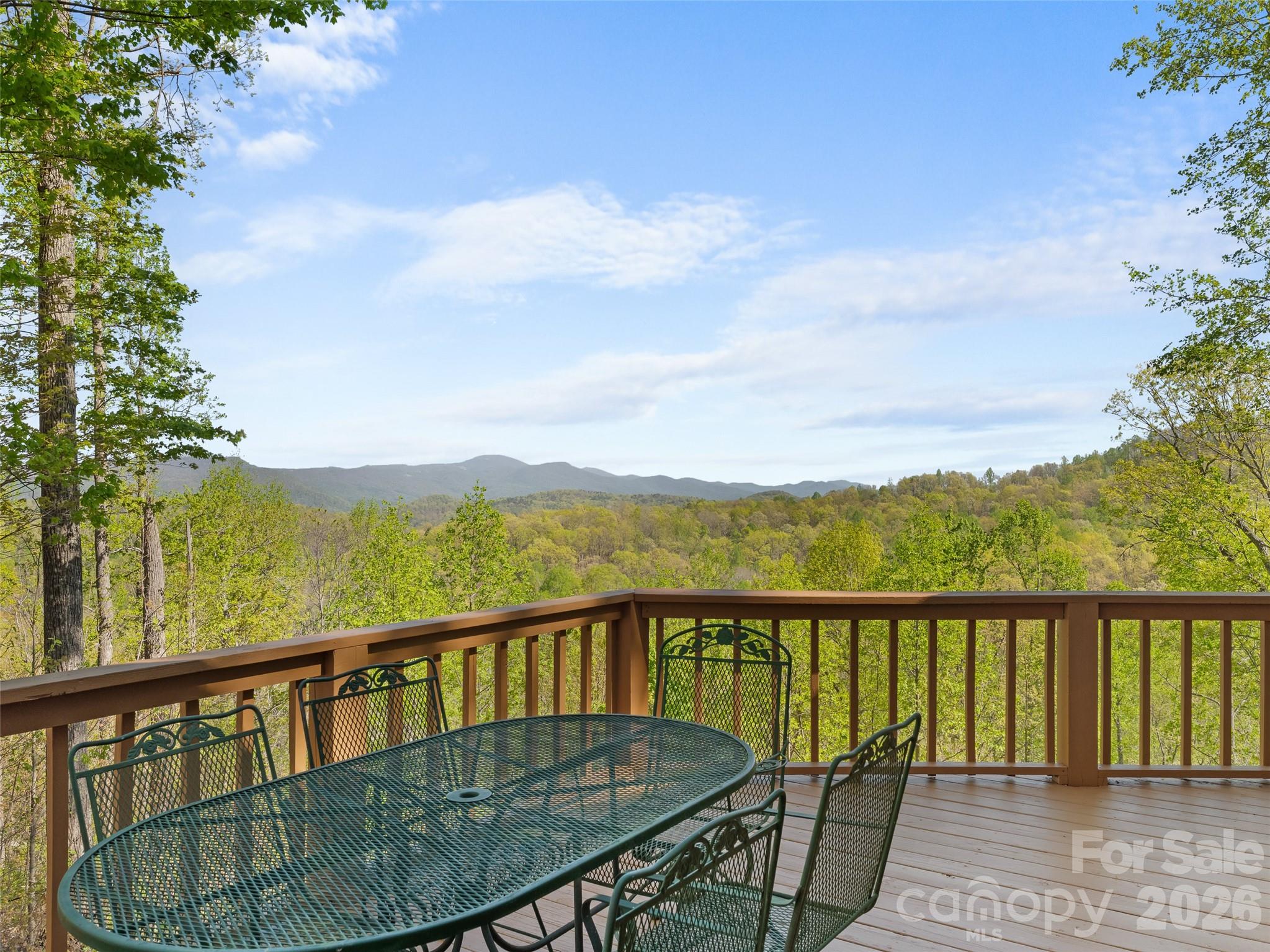 178 Tablerock Drive Saluda NC 28773
