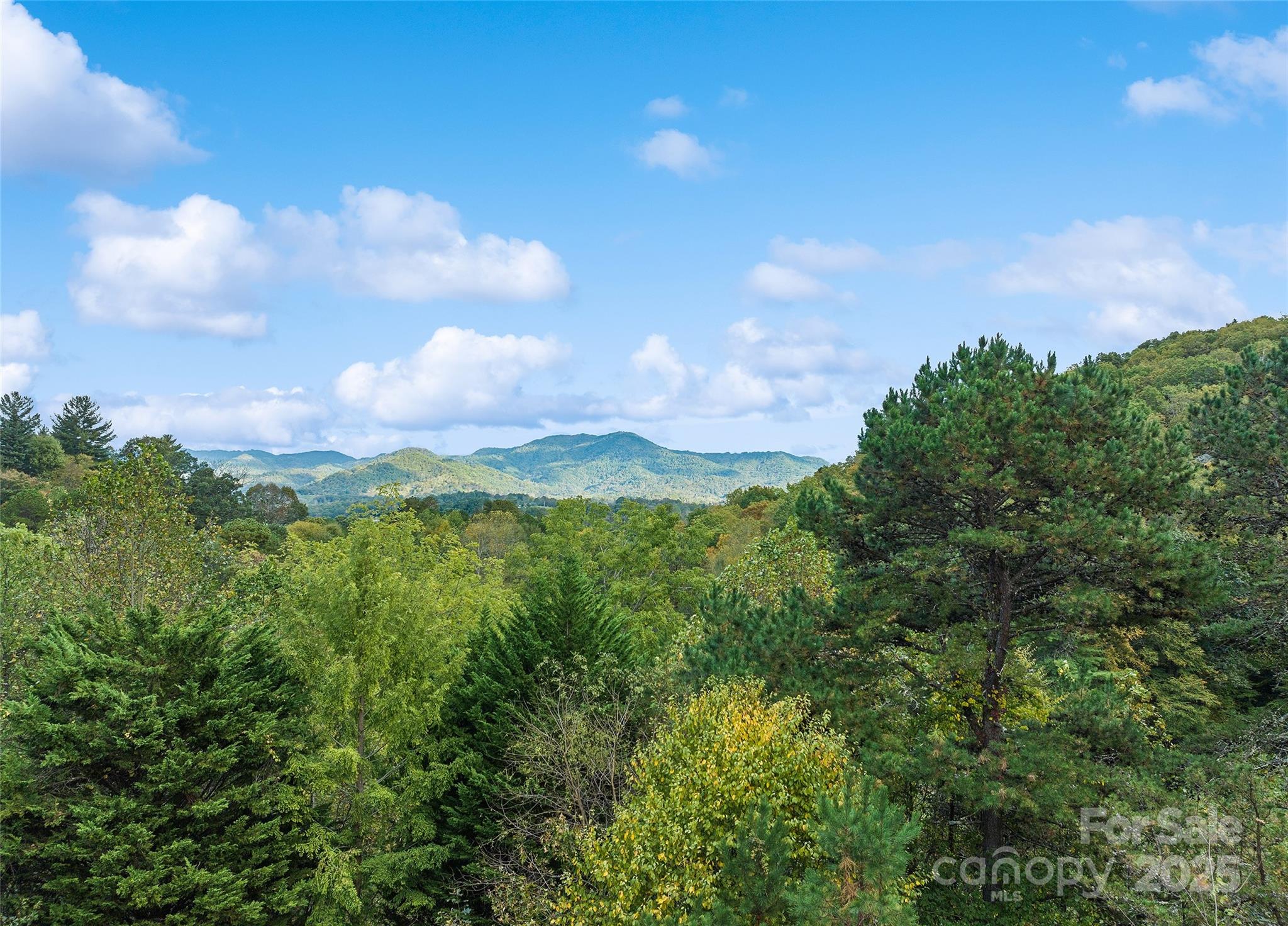 966 Coyote Hollow Road Waynesville NC 28785