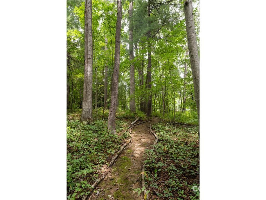 219 Wildflower Road Asheville NC 28804