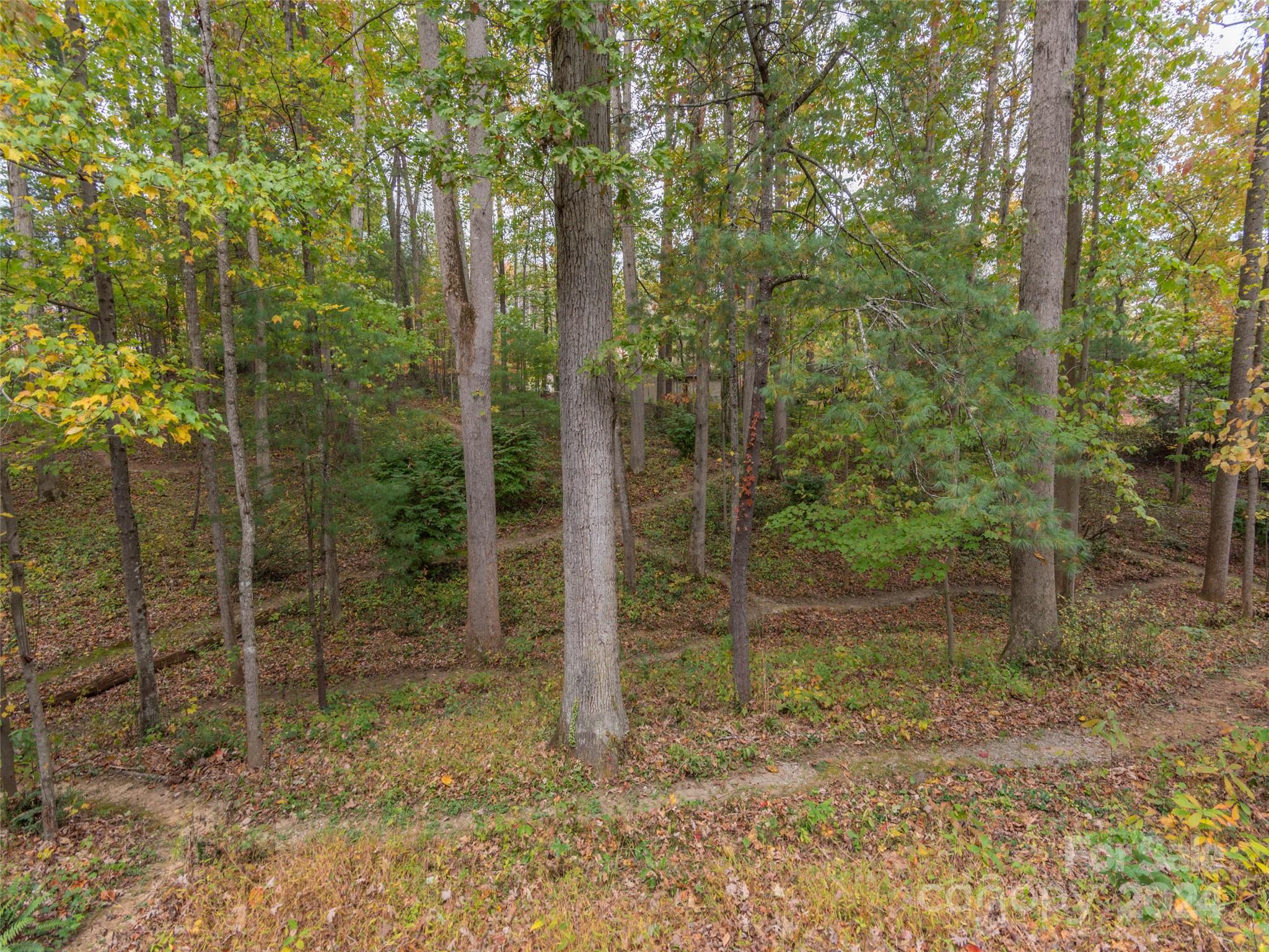 219 Wildflower Road Asheville NC 28804