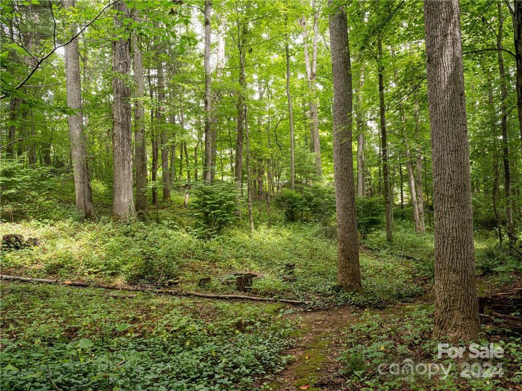 219 Wildflower Road Asheville NC 28804