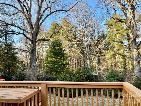 15 Beaverdam Court Asheville NC 28804