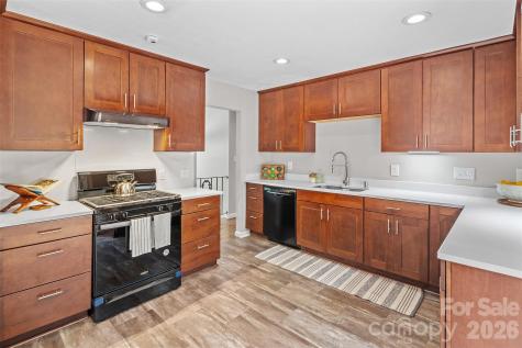 15 Beaverdam Court Asheville NC 28804