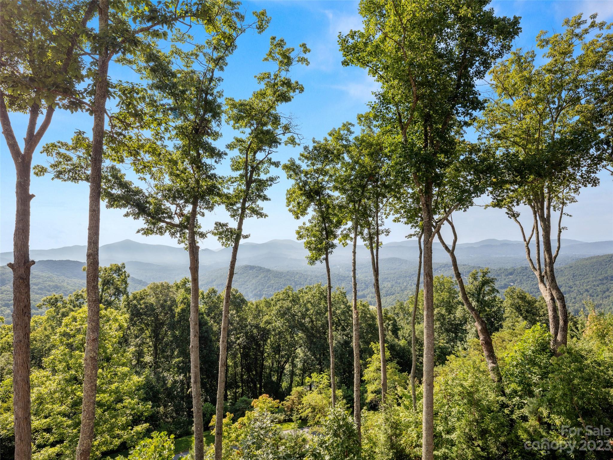296 Southcliff Parkway Fairview NC 28730