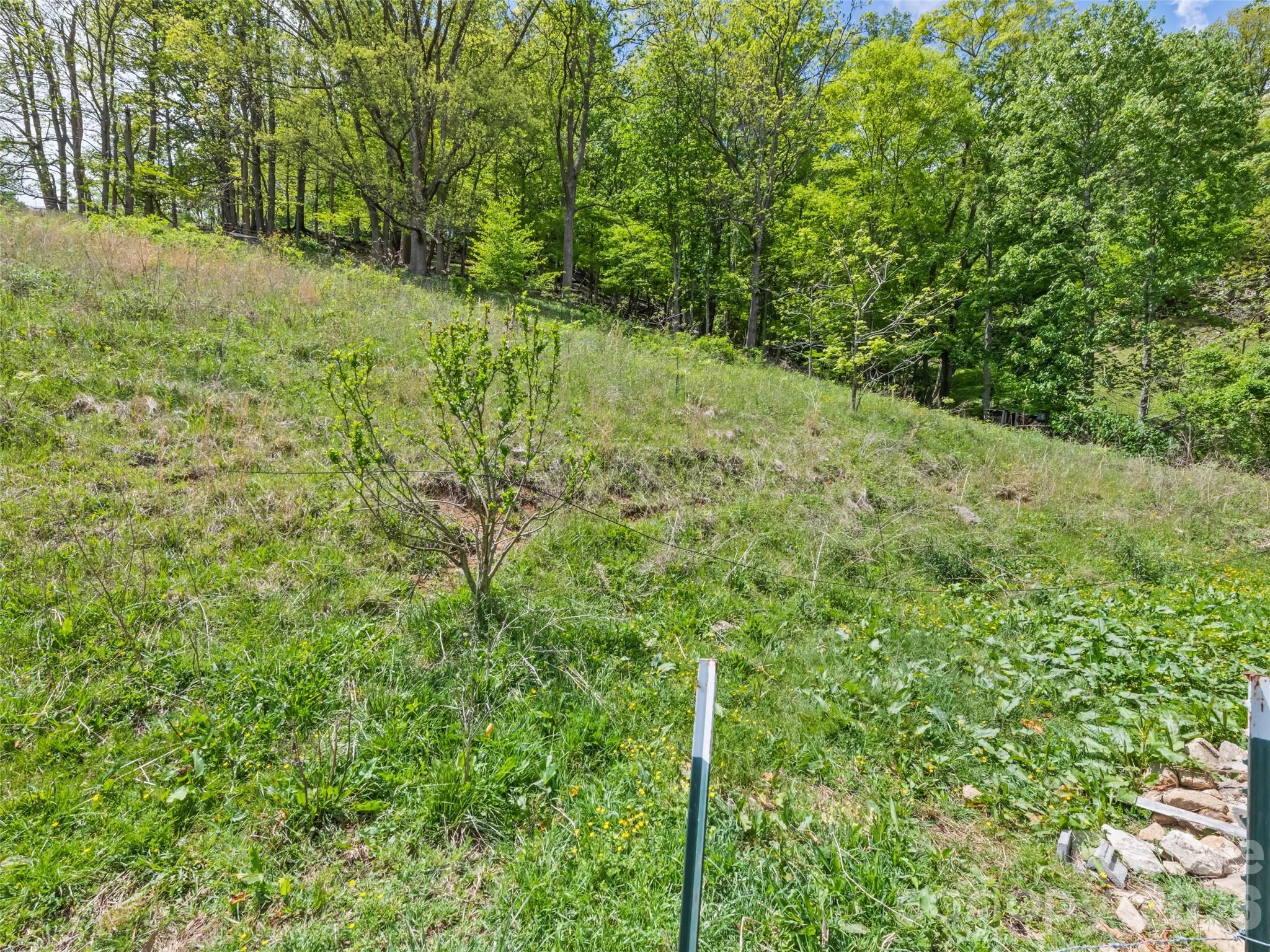 3607 Max Patch Road Clyde NC 28721