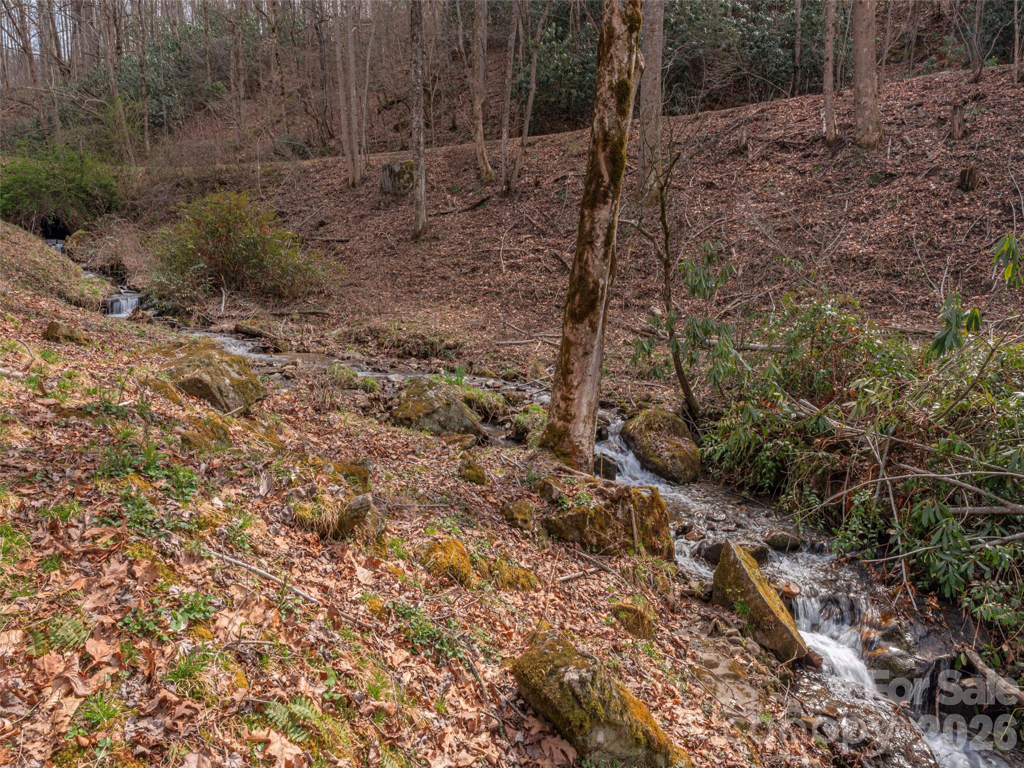 897 Dark Ridge Road Sylva NC 28779