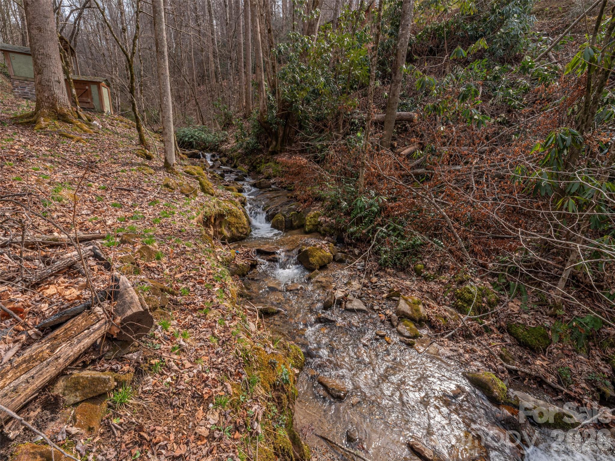 897 Dark Ridge Road Sylva NC 28779