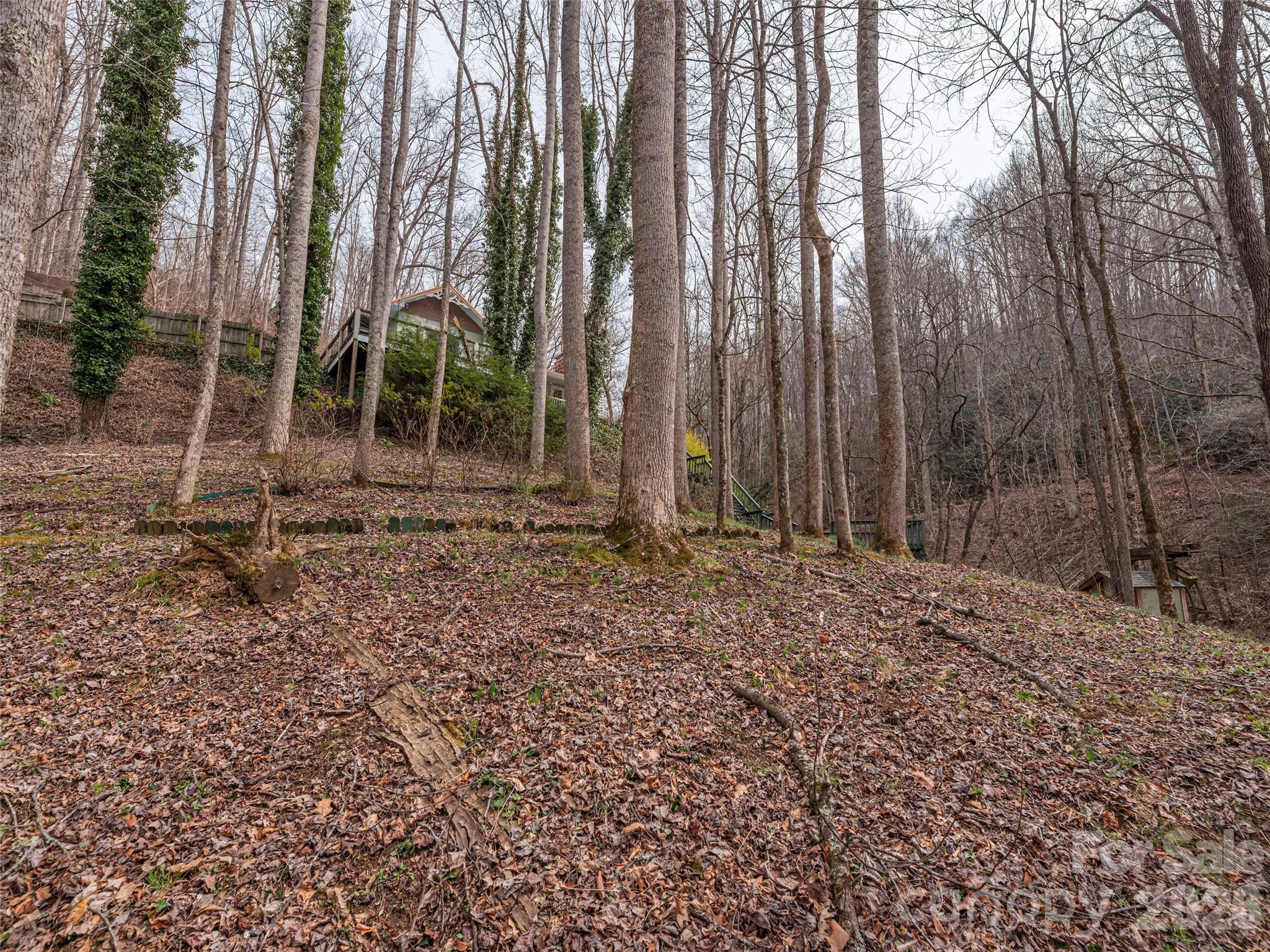 897 Dark Ridge Road Sylva NC 28779