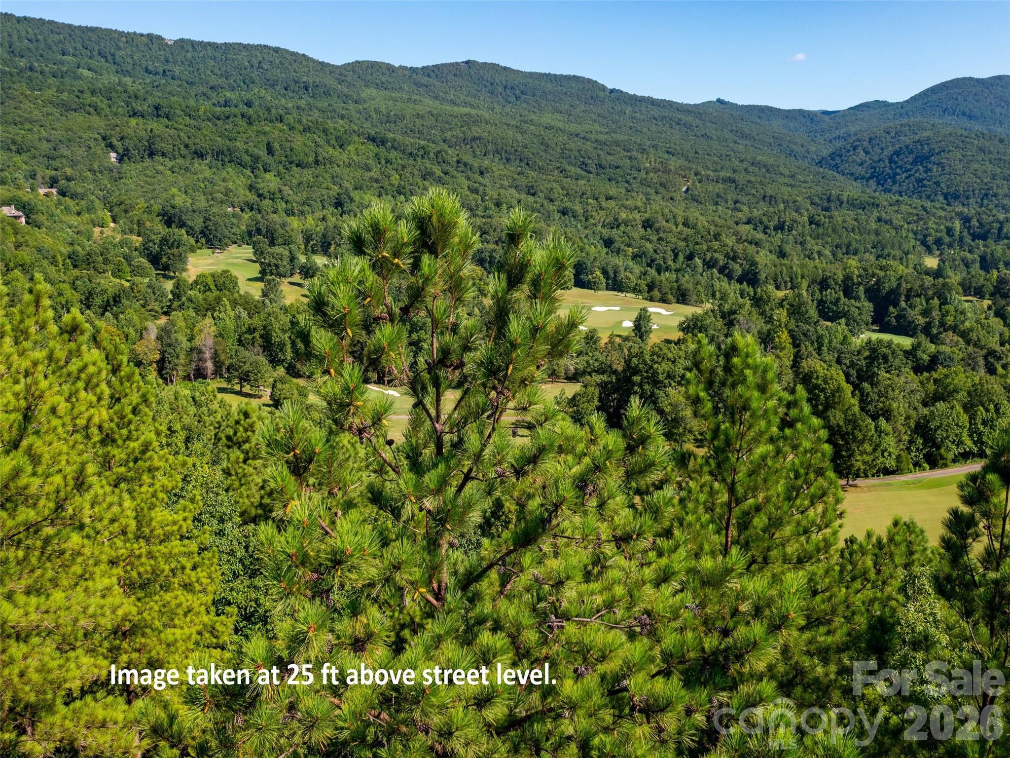 2026 Deep Gap Farm Road E Mill Spring NC 28756